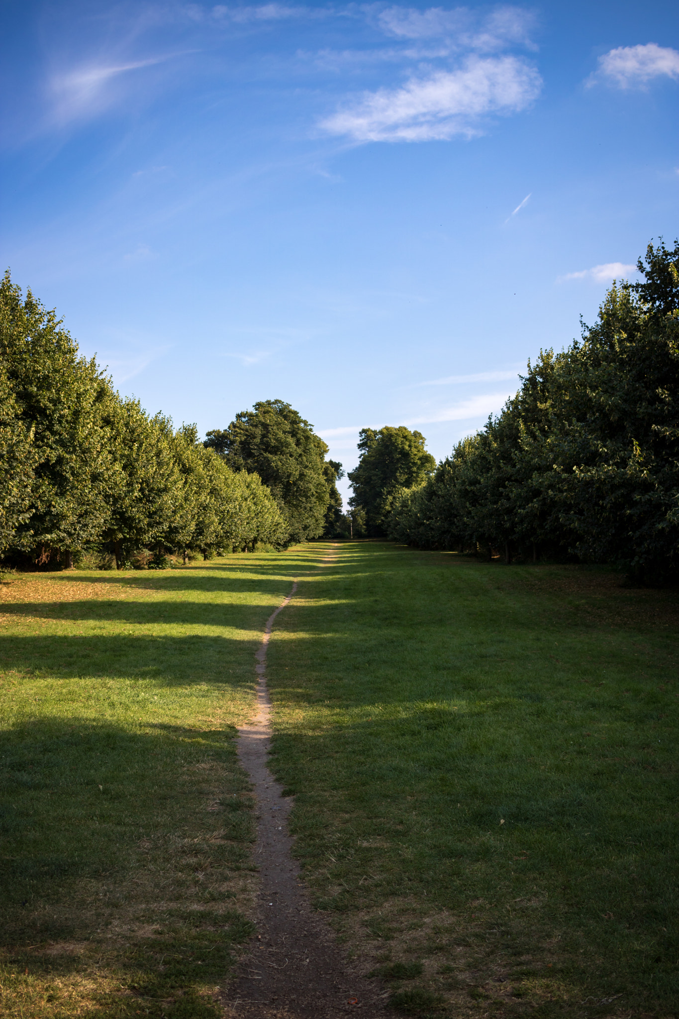 Canon EF-S 24mm F2.8 STM sample photo. In and around hextable photography