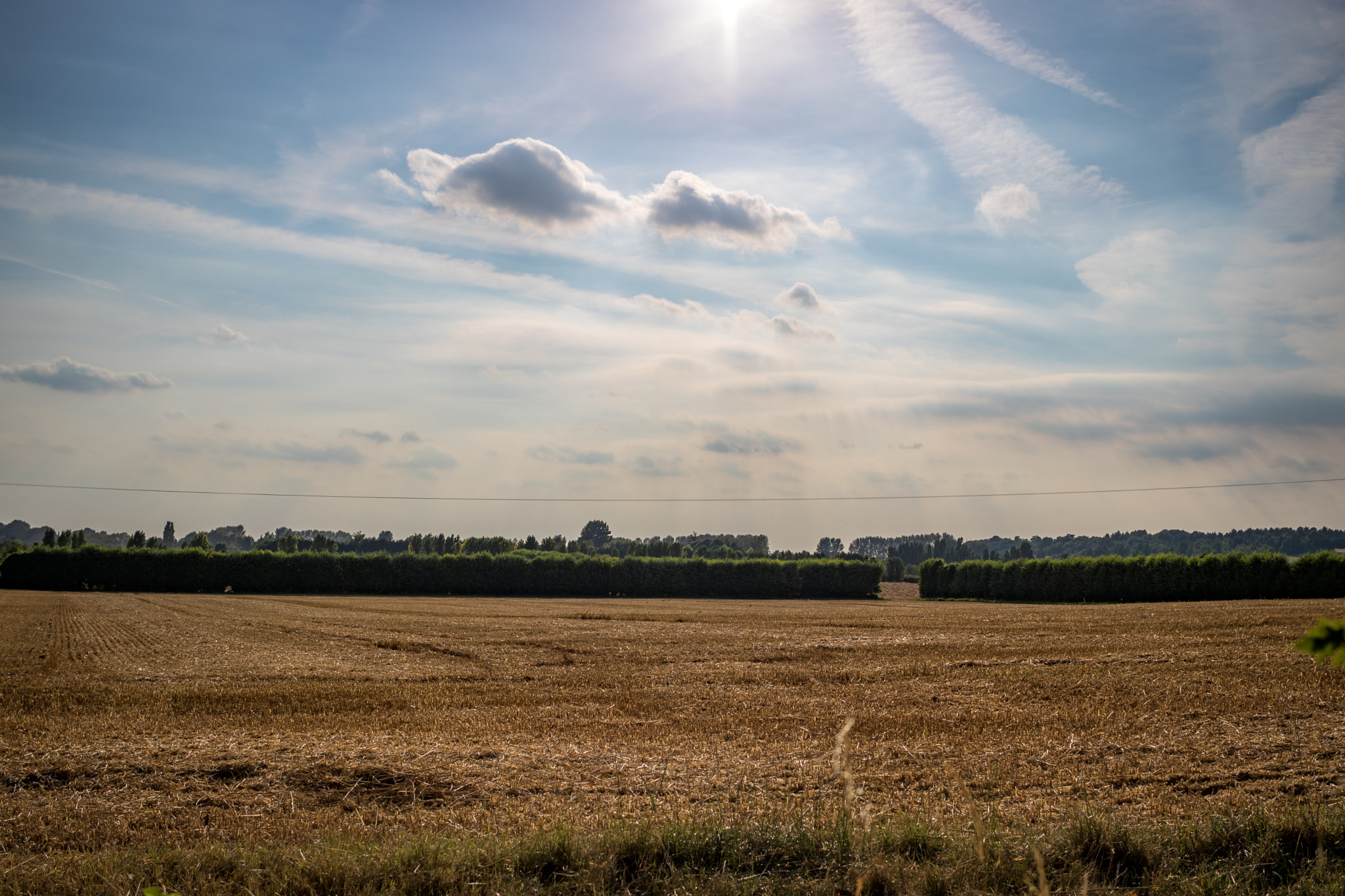 Canon EF-S 24mm F2.8 STM sample photo. In and around hextable photography