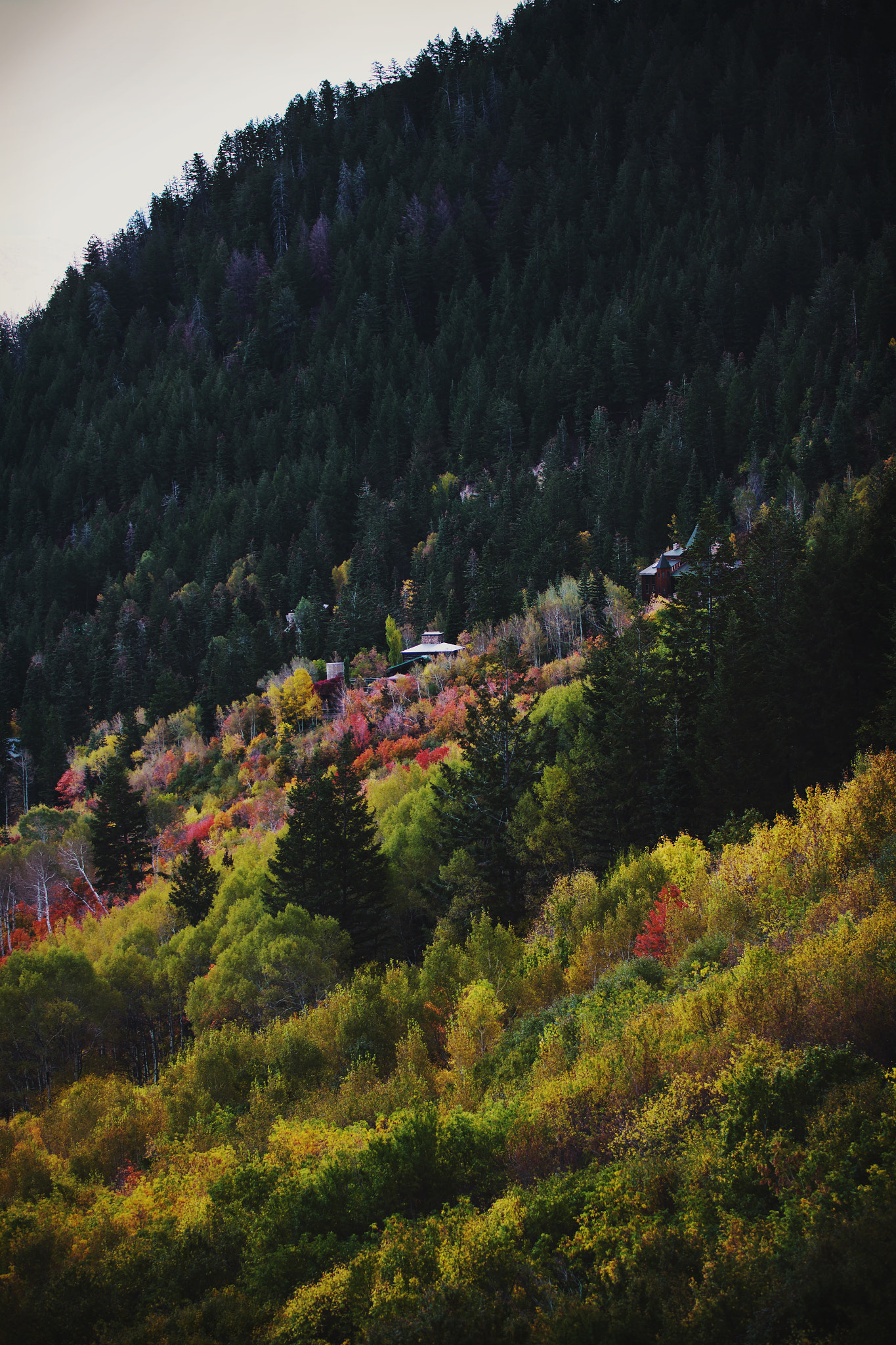 Canon EOS 550D (EOS Rebel T2i / EOS Kiss X4) sample photo. Hike to stewart falls, utah photography