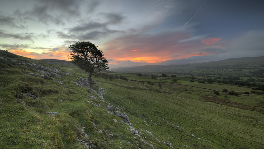 Sigma 10-20mm F3.5 EX DC HSM sample photo. Dawn tree photography