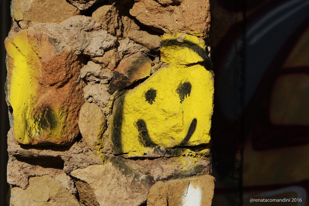 Sigma 17-70mm F2.8-4 DC Macro OS HSM | C sample photo. Smile photography
