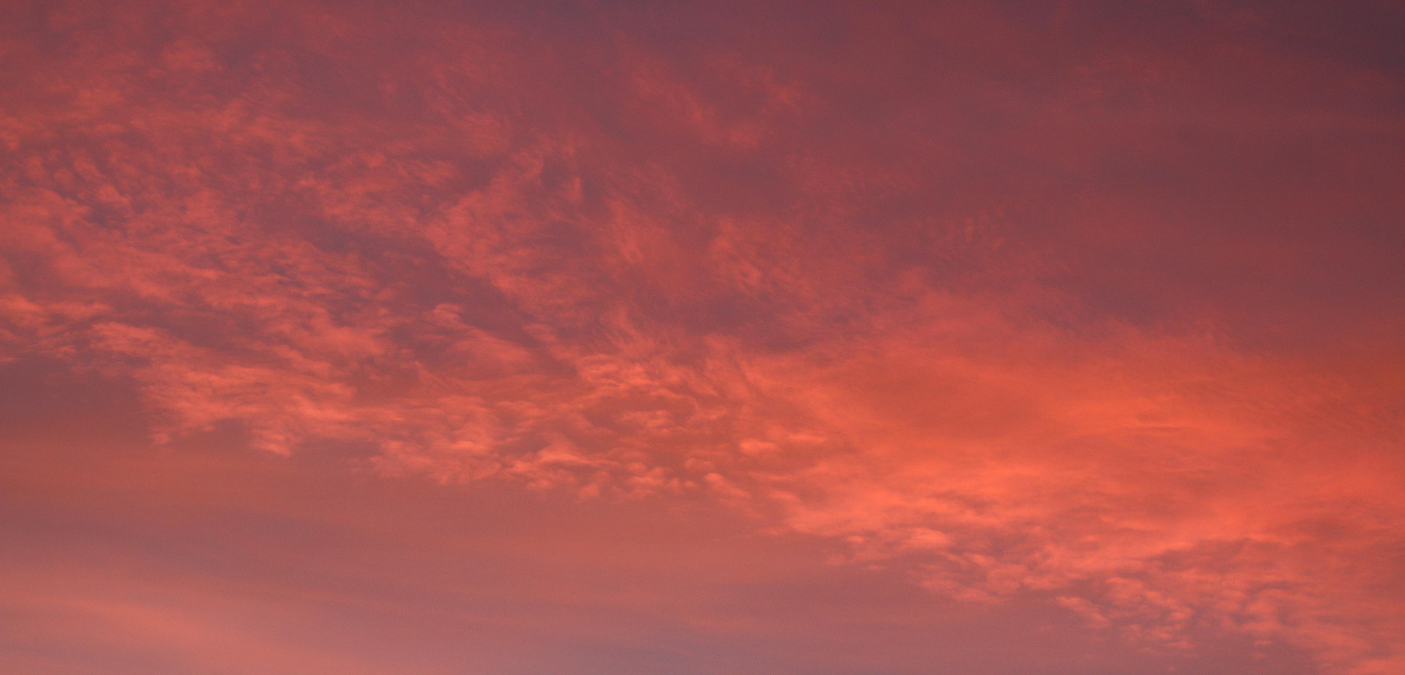 Canon EOS 70D + Canon EF 100mm F2.8L Macro IS USM sample photo. Red sky photography