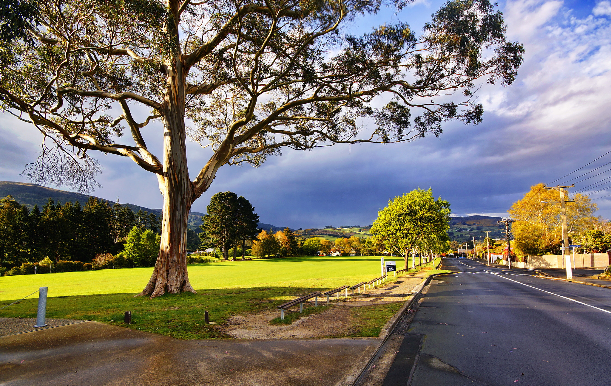 Sigma AF 10-20mm F4-5.6 EX DC sample photo. Dunedin photography