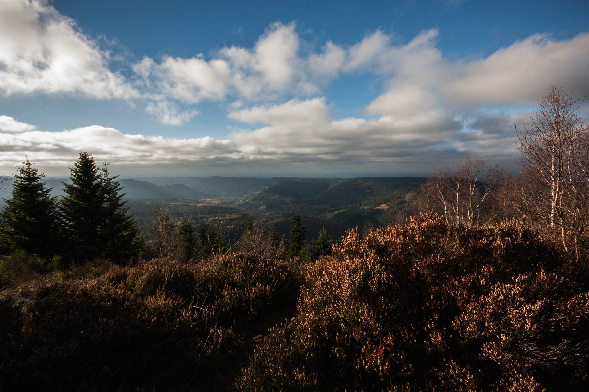 Canon EOS 450D (EOS Rebel XSi / EOS Kiss X2) + Sigma 10-20mm F4-5.6 EX DC HSM sample photo. Les vosges en automne photography