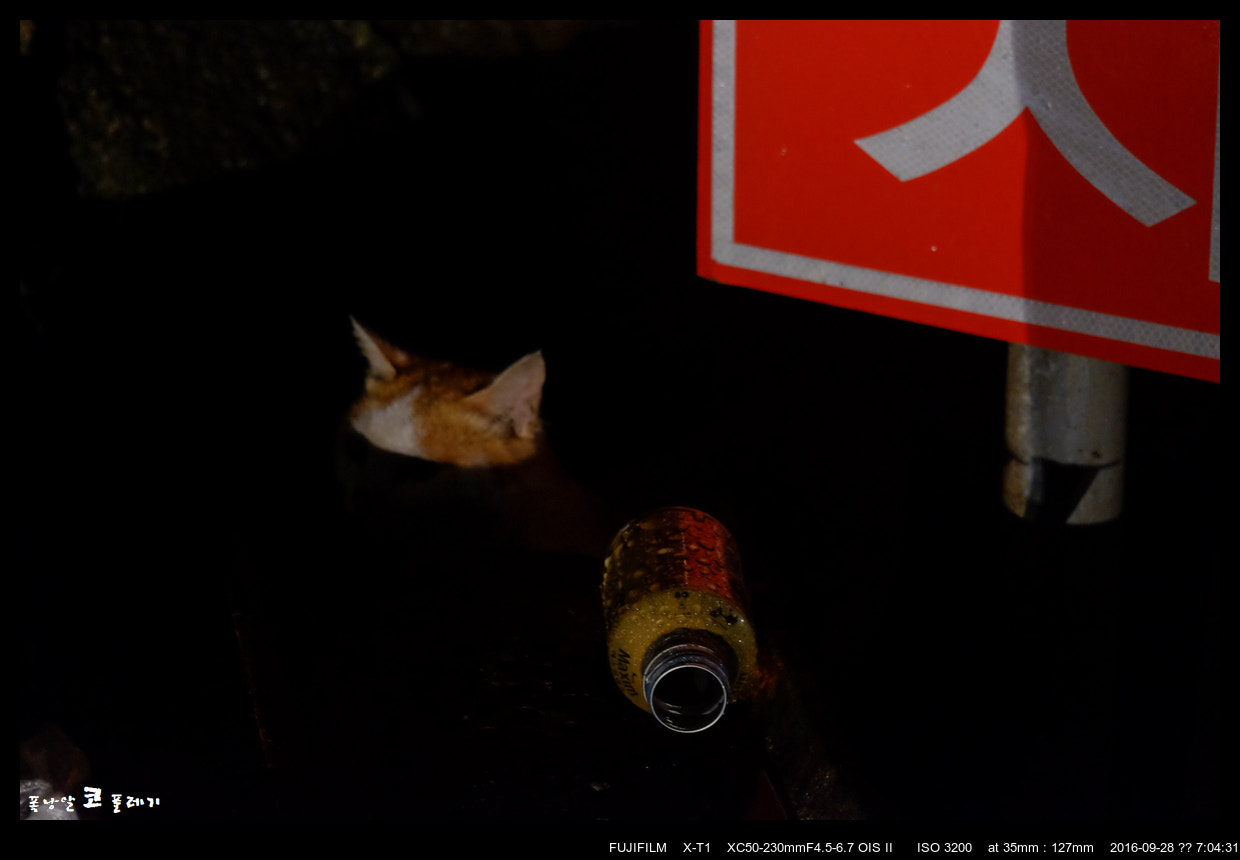 Fujifilm X-T1 + Fujifilm XC 50-230mm F4.5-6.7 OIS II sample photo. In the rain. photography