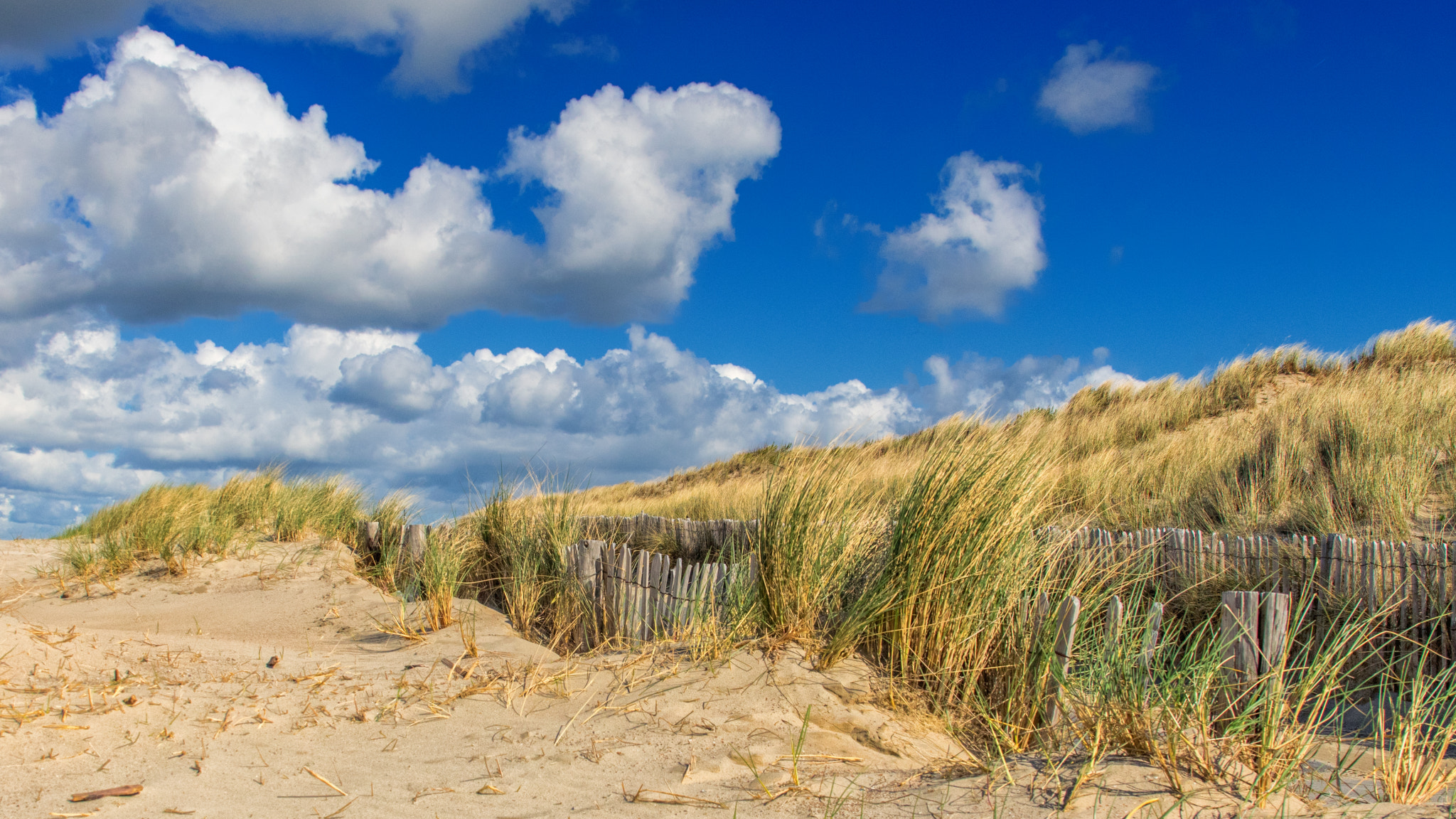 Pentax K-3 sample photo. In the dunes photography