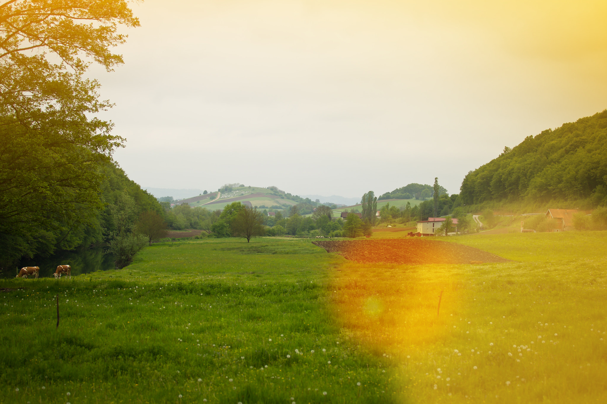 Canon EOS-1D Mark IV sample photo. Croatia photography