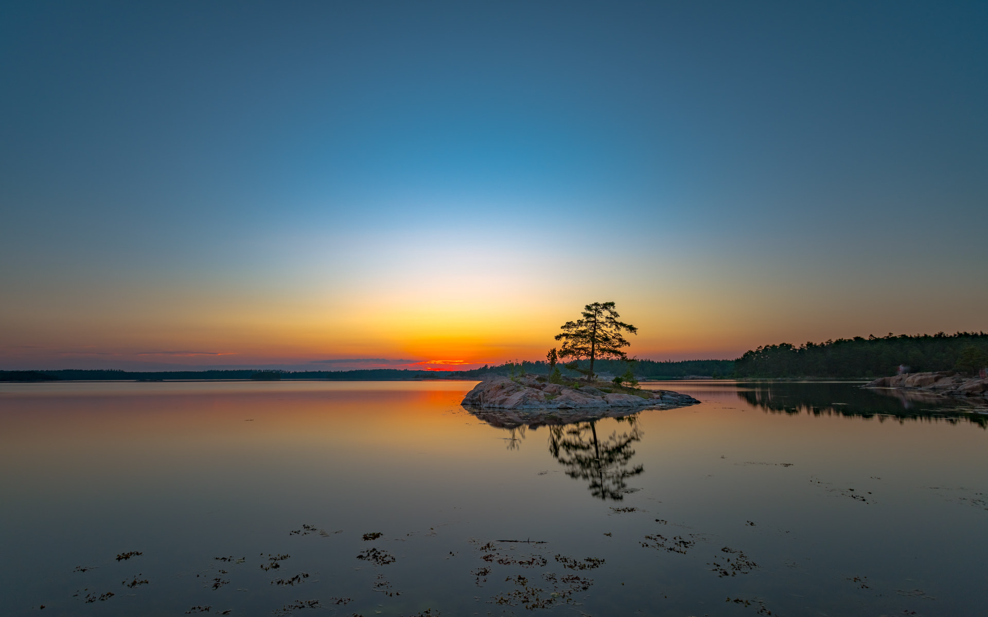 Sony a7R II + Canon EF 17-40mm F4L USM sample photo. A summer evening in sweden photography
