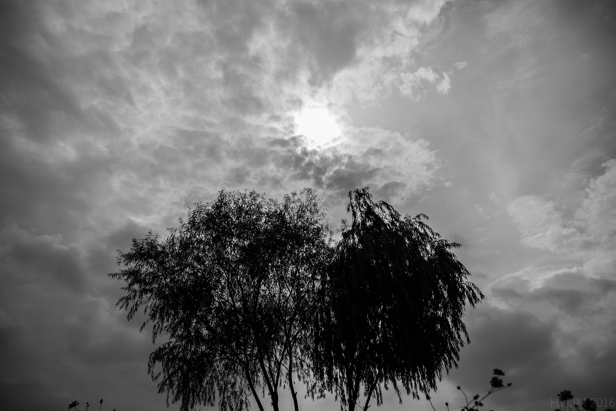 Sigma 18-250mm F3.5-6.3 DC OS HSM sample photo. Sky photography