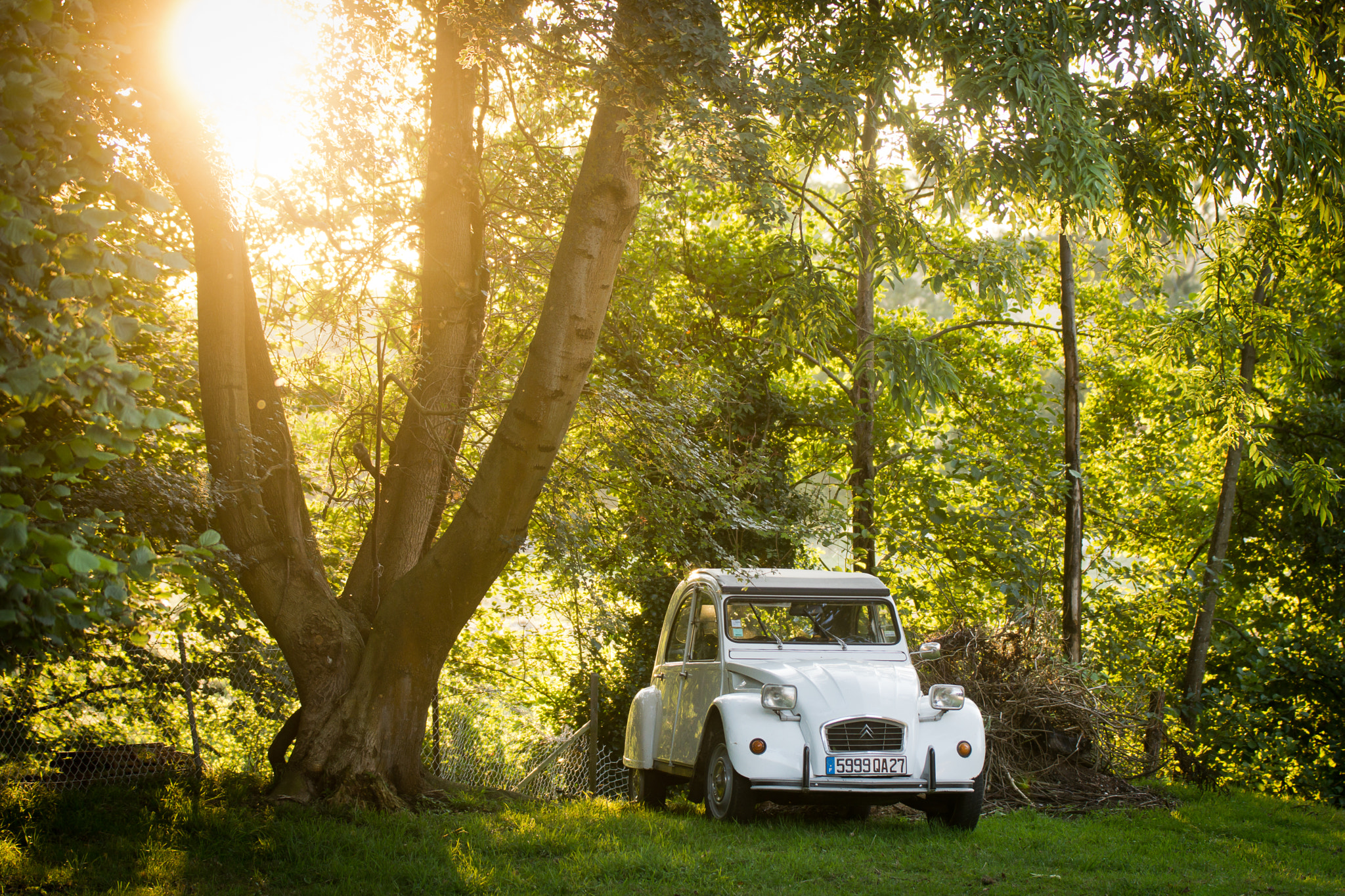 Sony SLT-A77 sample photo. 2cv photography