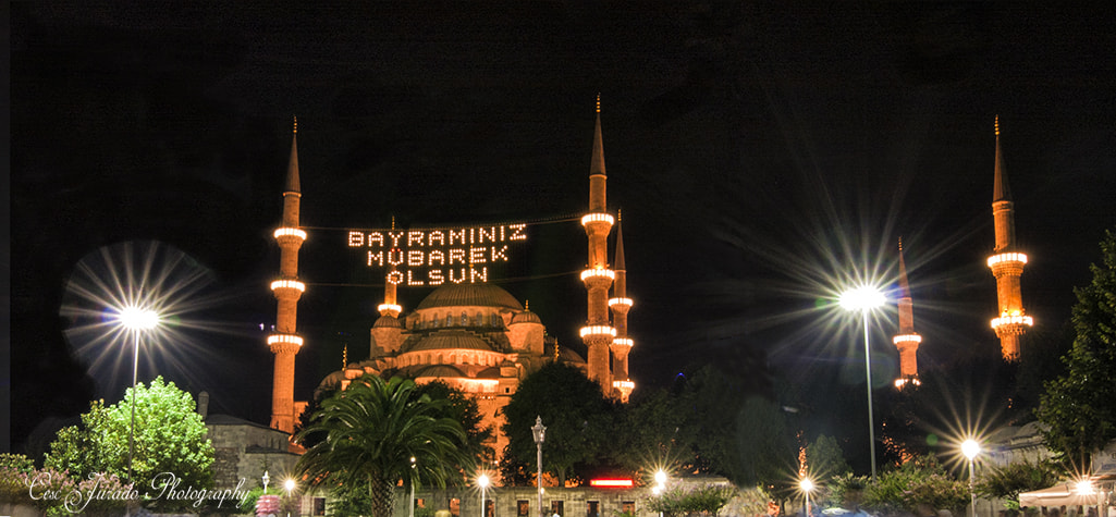 Tokina AT-X Pro 12-24mm F4 (IF) DX sample photo. Blue mosque in istanbul photography