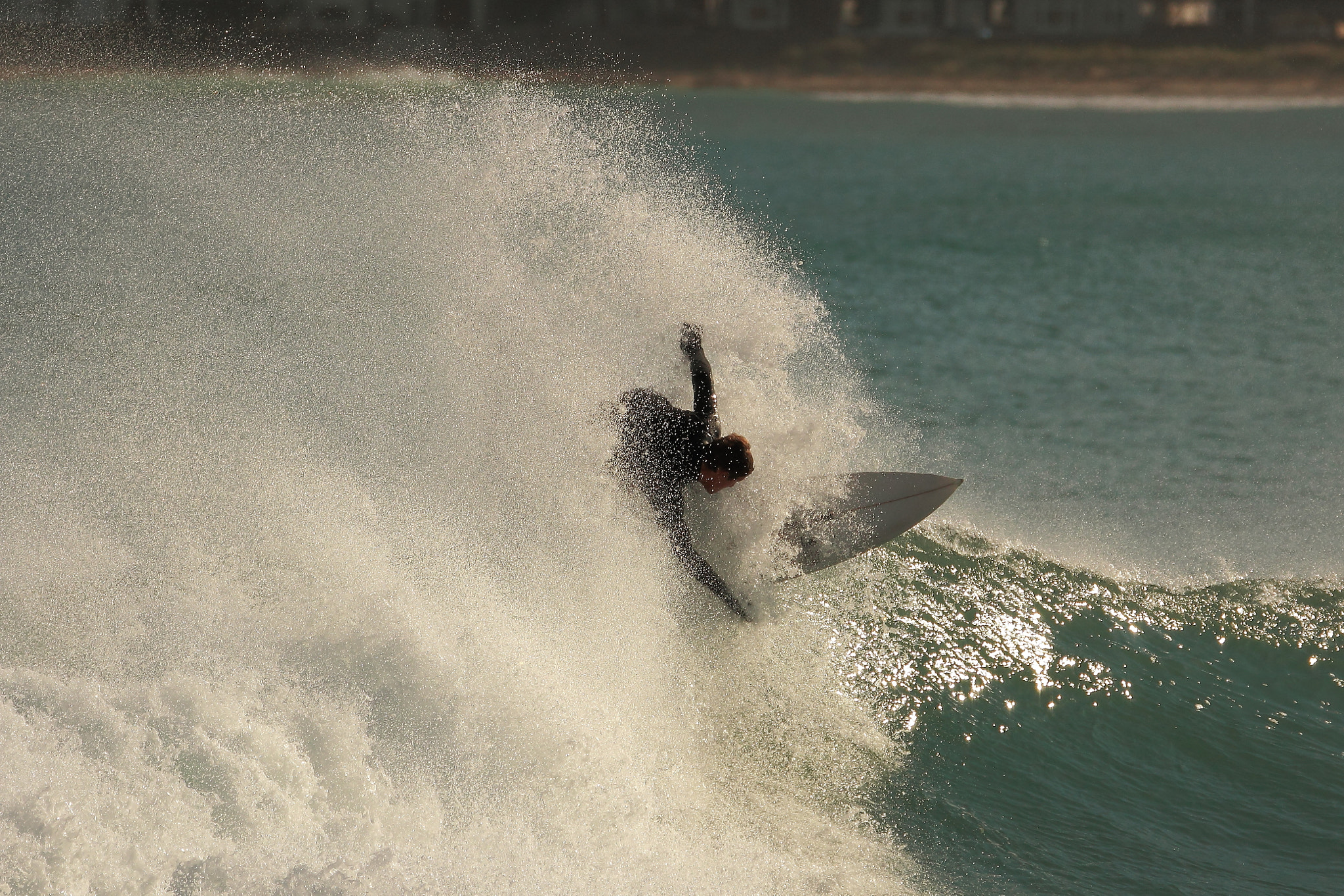 Tamron SP 150-600mm F5-6.3 Di VC USD sample photo. The turn photography