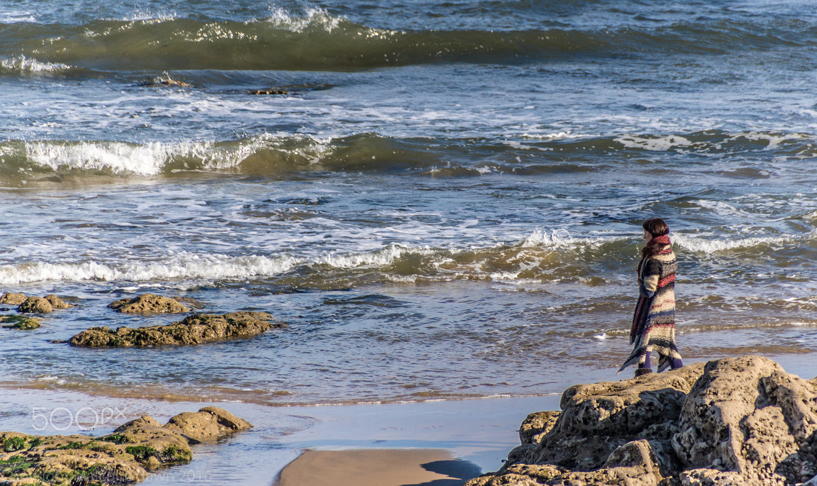 Sigma 18-250mm F3.5-6.3 DC OS HSM sample photo. Deep in thought photography