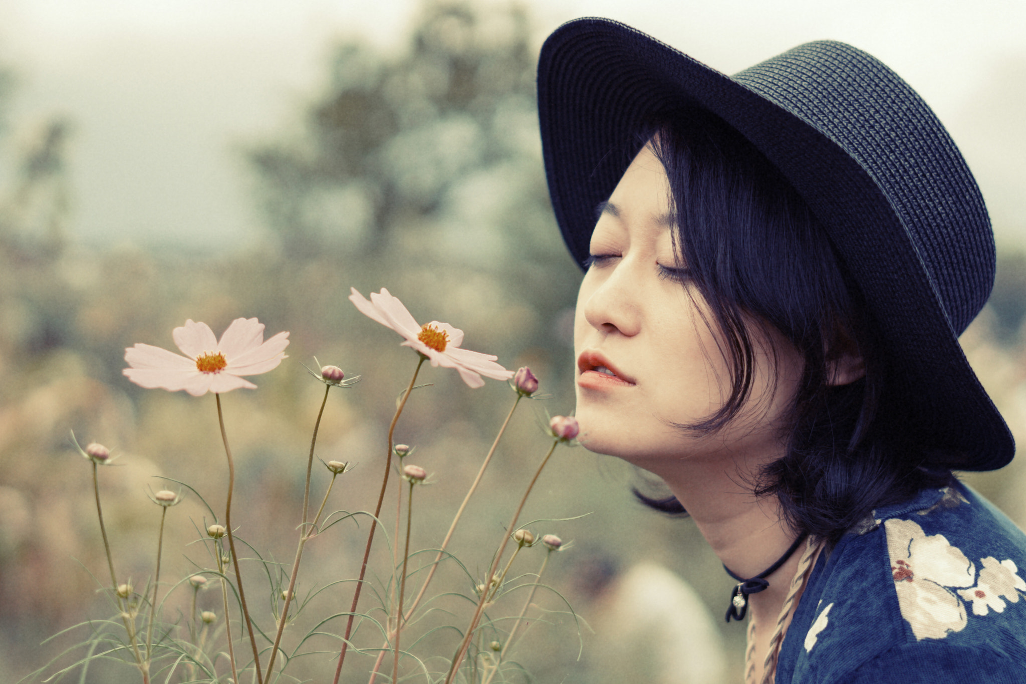Sony FE 50mm F1.8 sample photo. 花海 photography