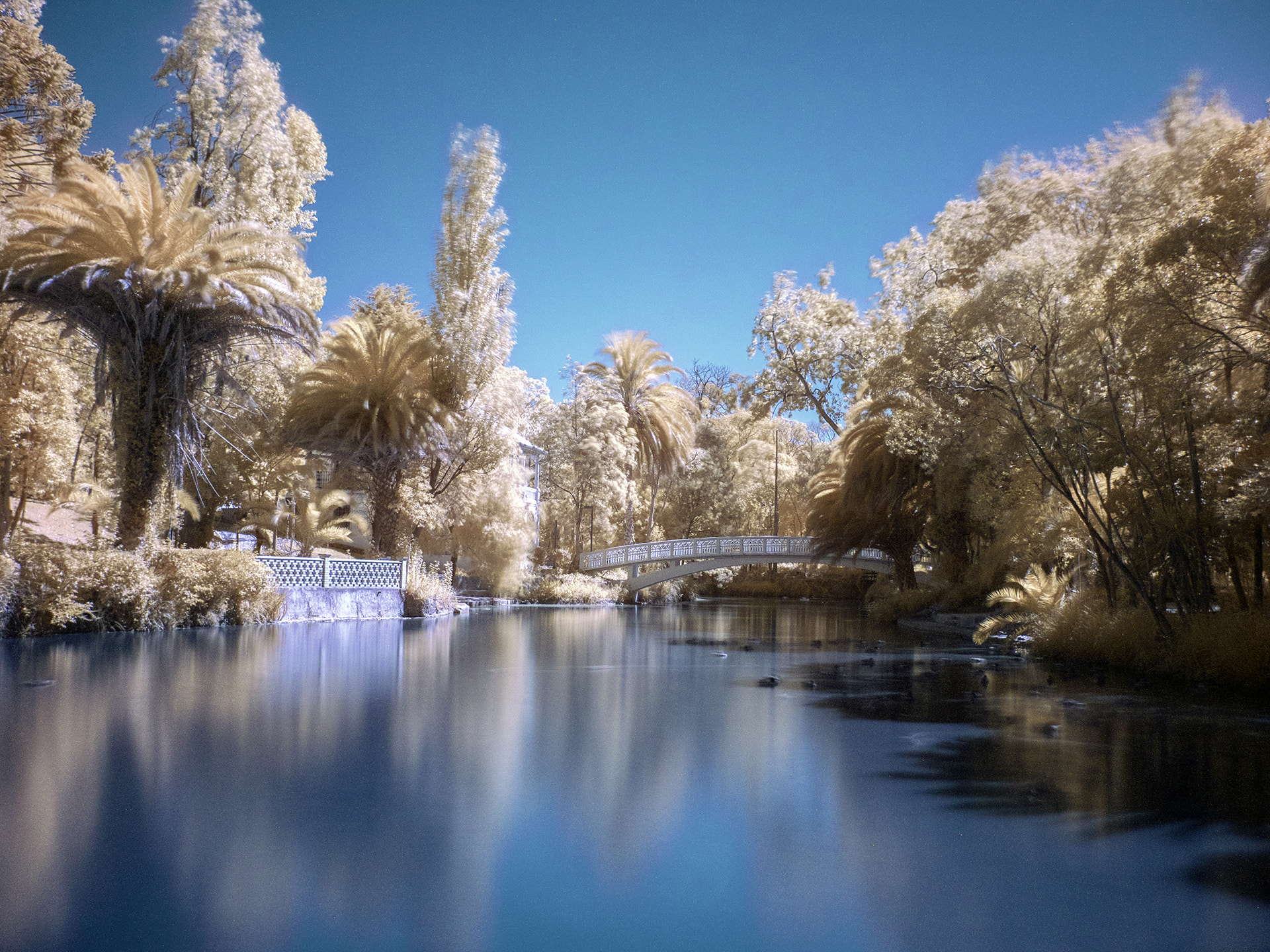 Panasonic Lumix DMC-GX8 sample photo. Aveiro_infrared13 photography