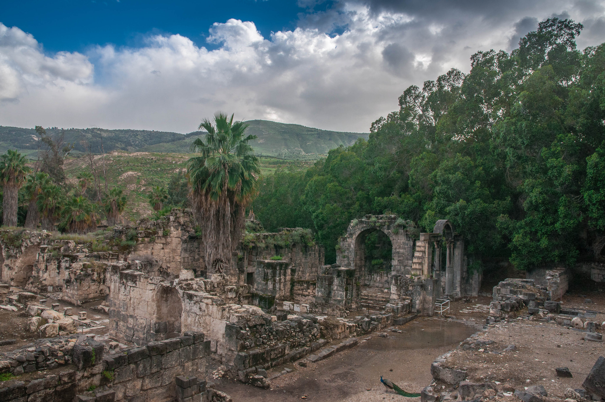 Nikon D90 + Sigma 17-70mm F2.8-4 DC Macro OS HSM | C sample photo. The ruins of the ancient city of gadara in the nor photography