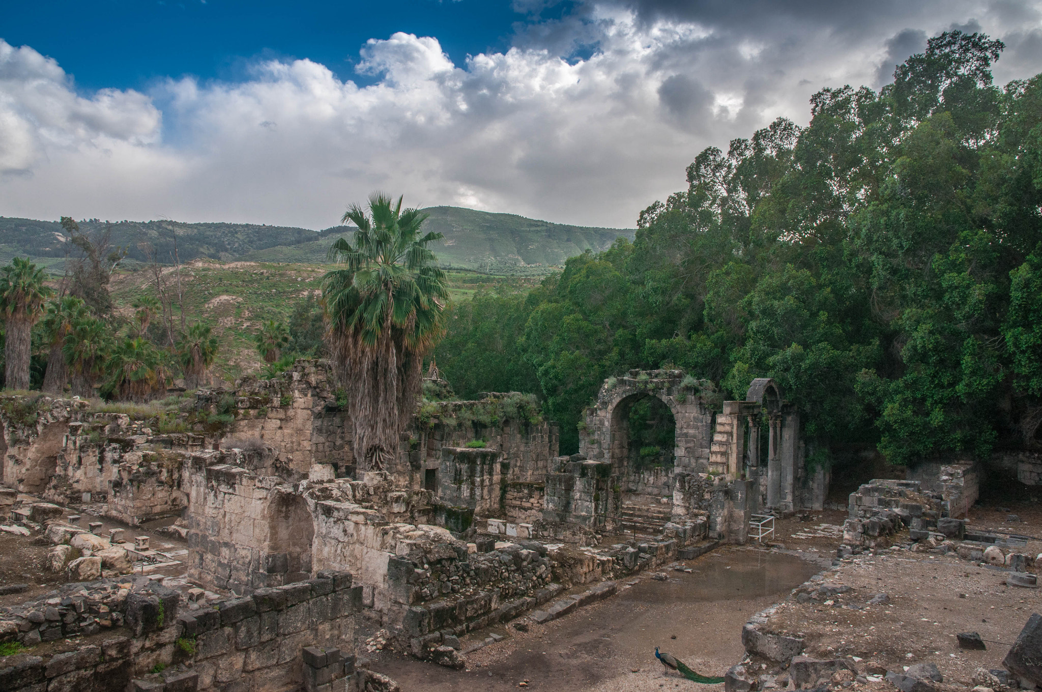 Sigma 17-70mm F2.8-4 DC Macro OS HSM | C sample photo. The ruins of the ancient city of gadara in the nor photography