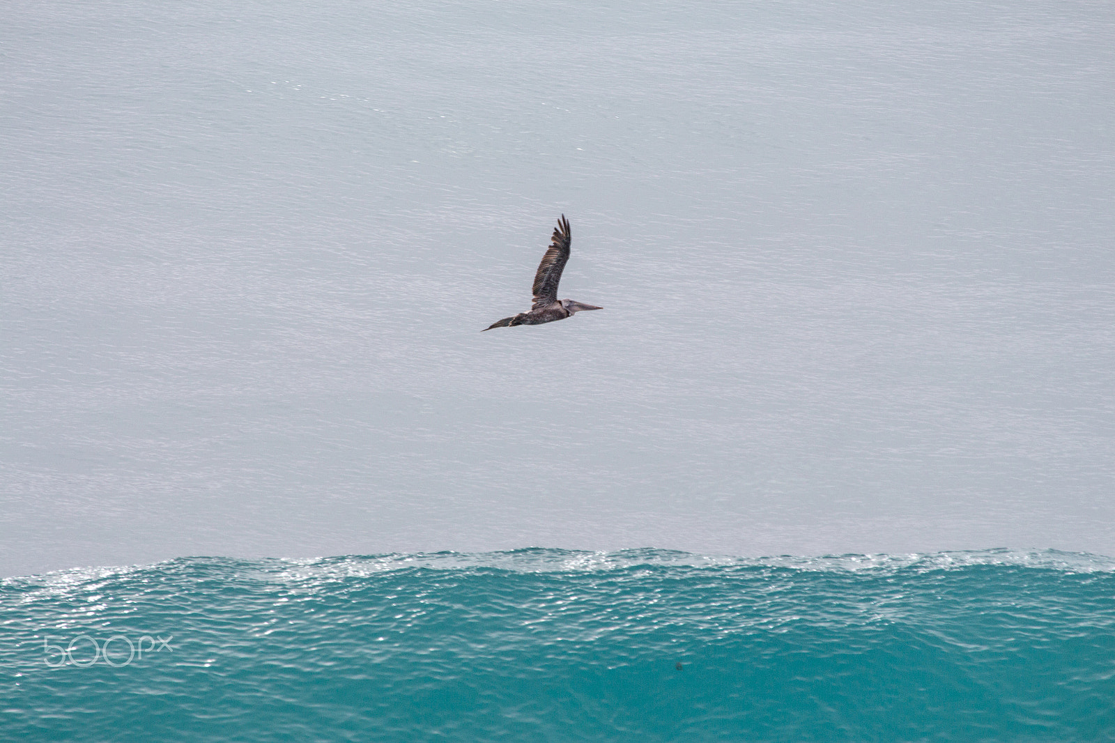 Canon EF 100-400mm F4.5-5.6L IS USM sample photo. 339.jpg photography