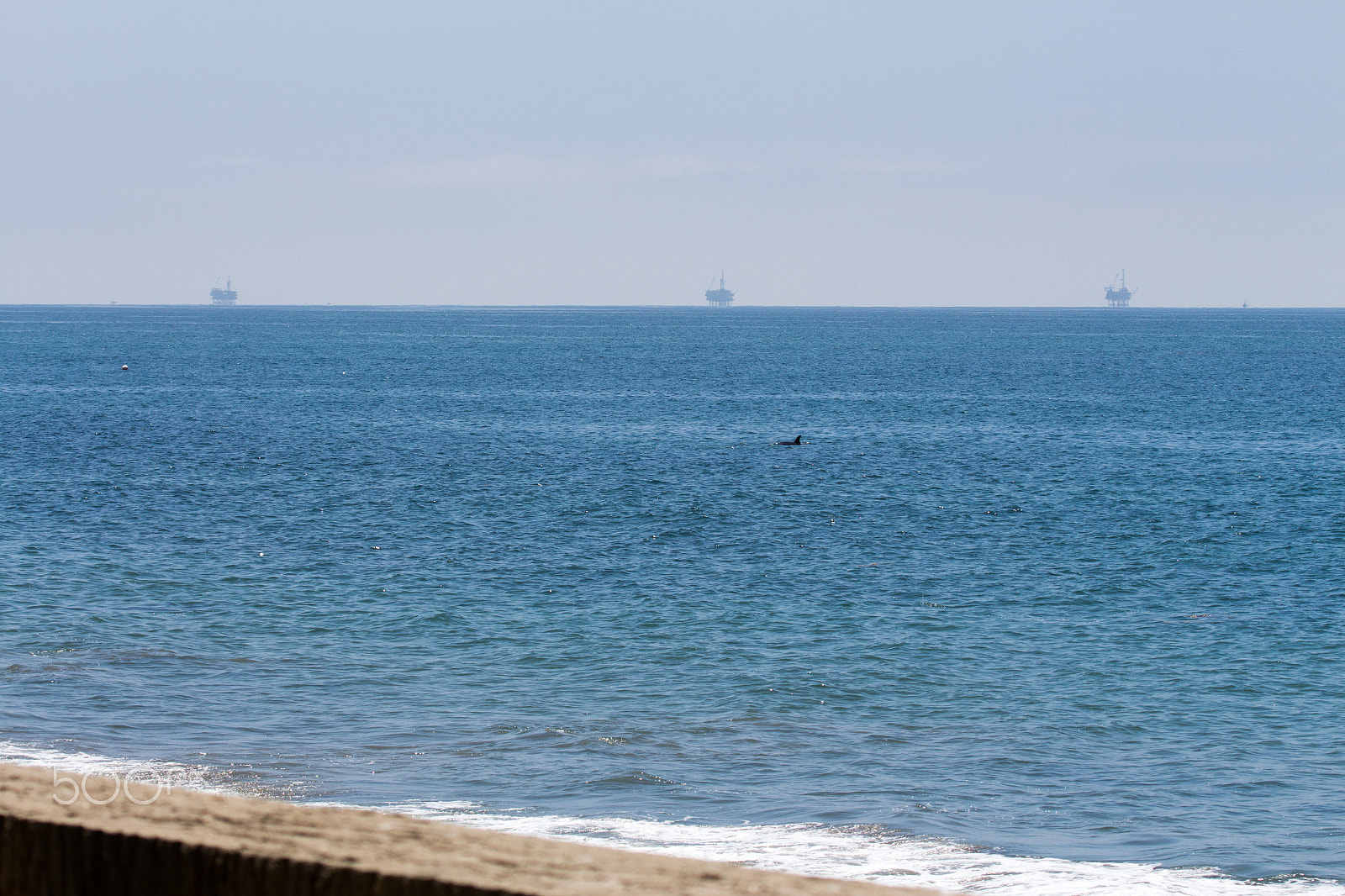 Canon EF 100-400mm F4.5-5.6L IS USM sample photo. 366.jpg photography