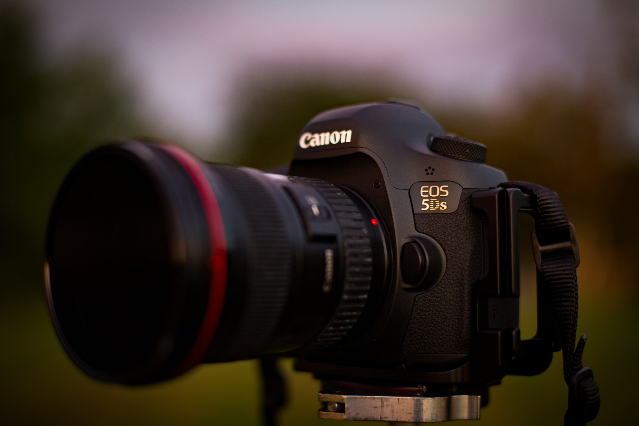 Canon EOS-1D C sample photo. Canon 5ds photography