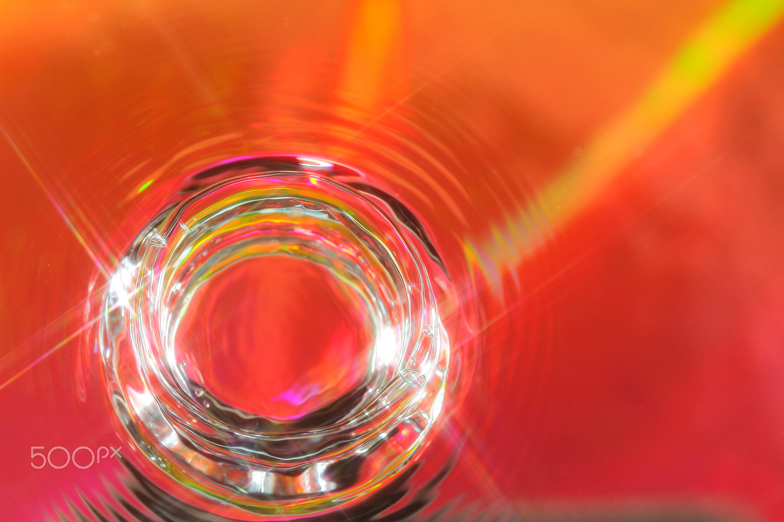 Canon EF 100mm F2.8 Macro USM sample photo. Water ring photography