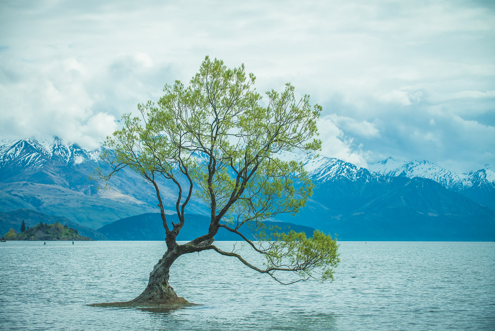 Nikon D600 + Nikon AF-S Nikkor 70-200mm F2.8G ED VR sample photo. Classic "that tree in wanaka" photography