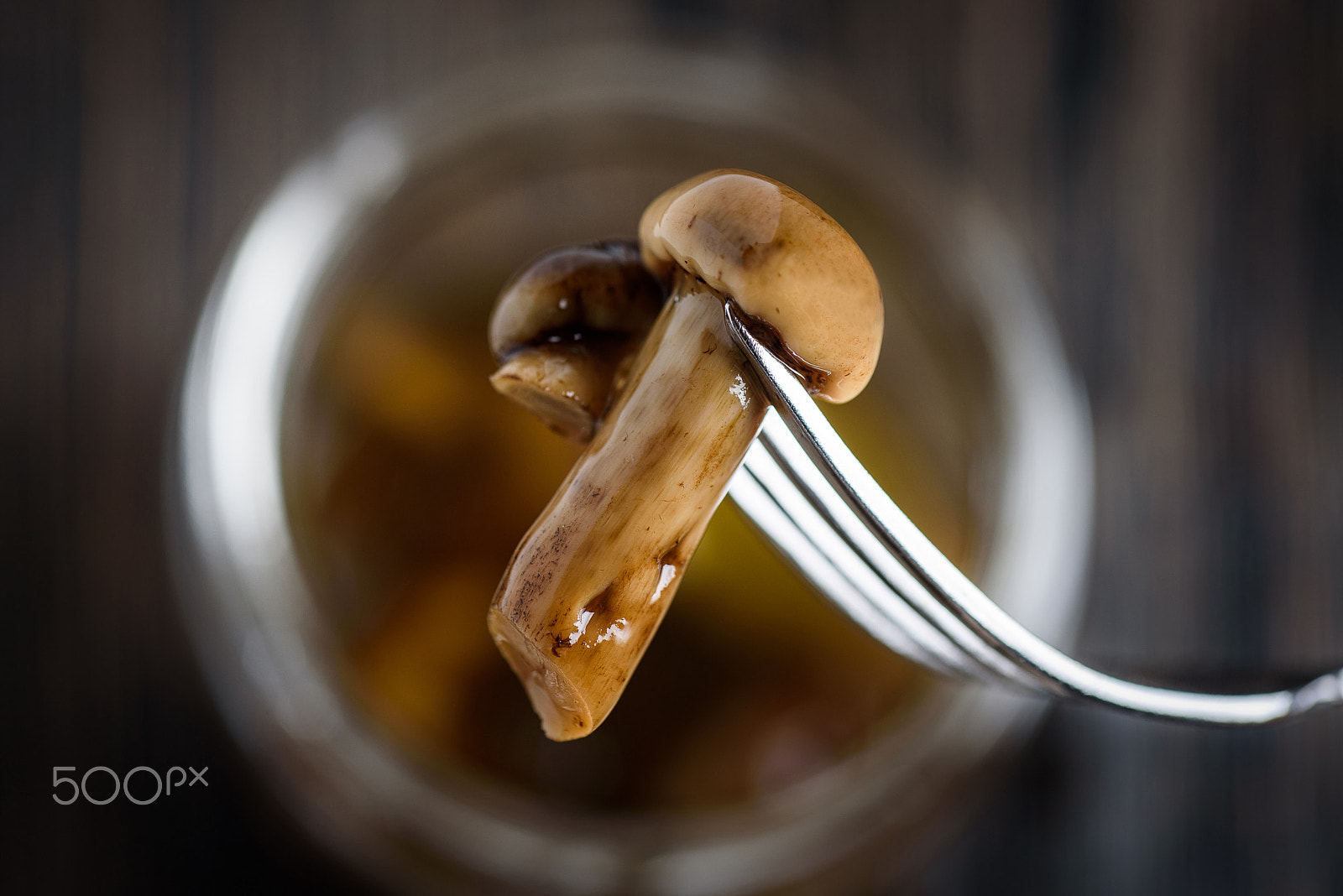 Nikon D750 sample photo. Little honey agaric mushroom, impaled on a metal fork. against the background of wooden photography