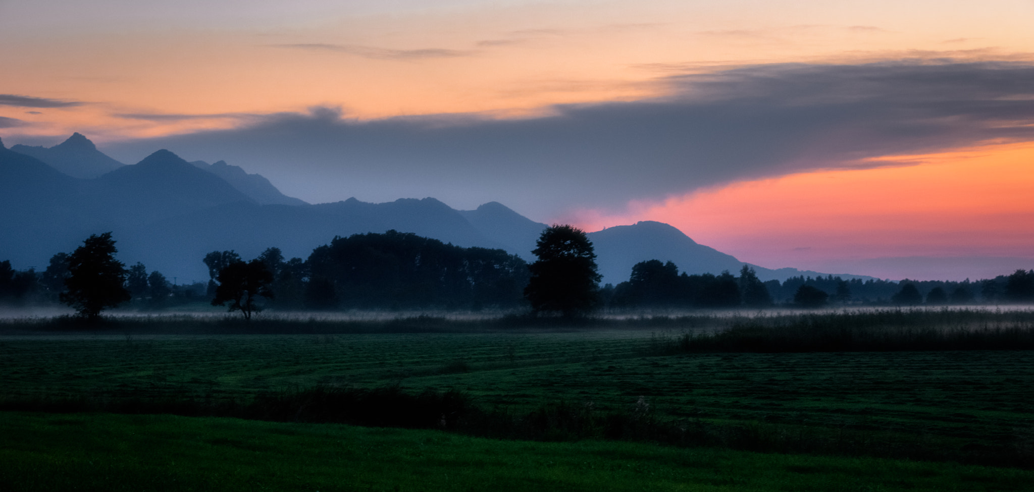 Sony SLT-A68 sample photo. Mist photography