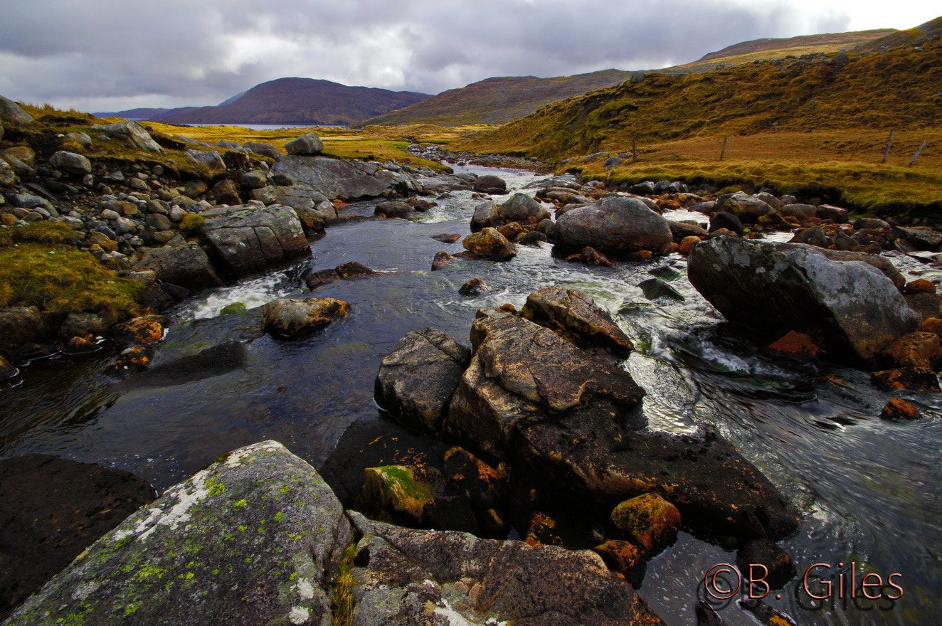 Sigma AF 10-20mm F4-5.6 EX DC sample photo. Freash from the cullins photography