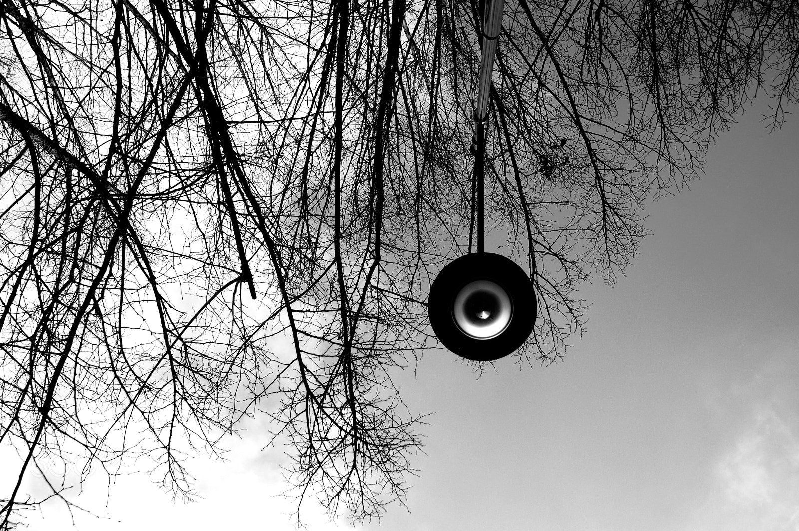 Sigma 18-200mm F3.5-6.3 DC sample photo. Eye photography