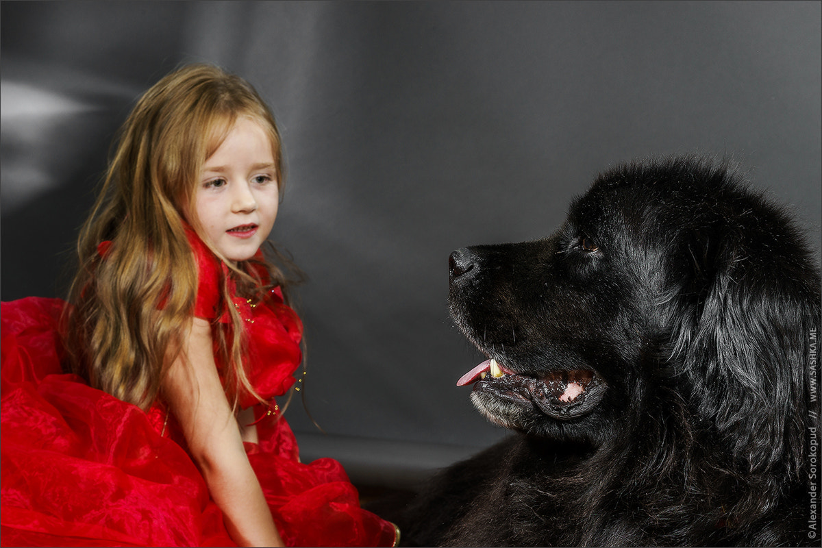 Sony a99 II sample photo. Beauty and the beast. girl with big black water-dog. photography