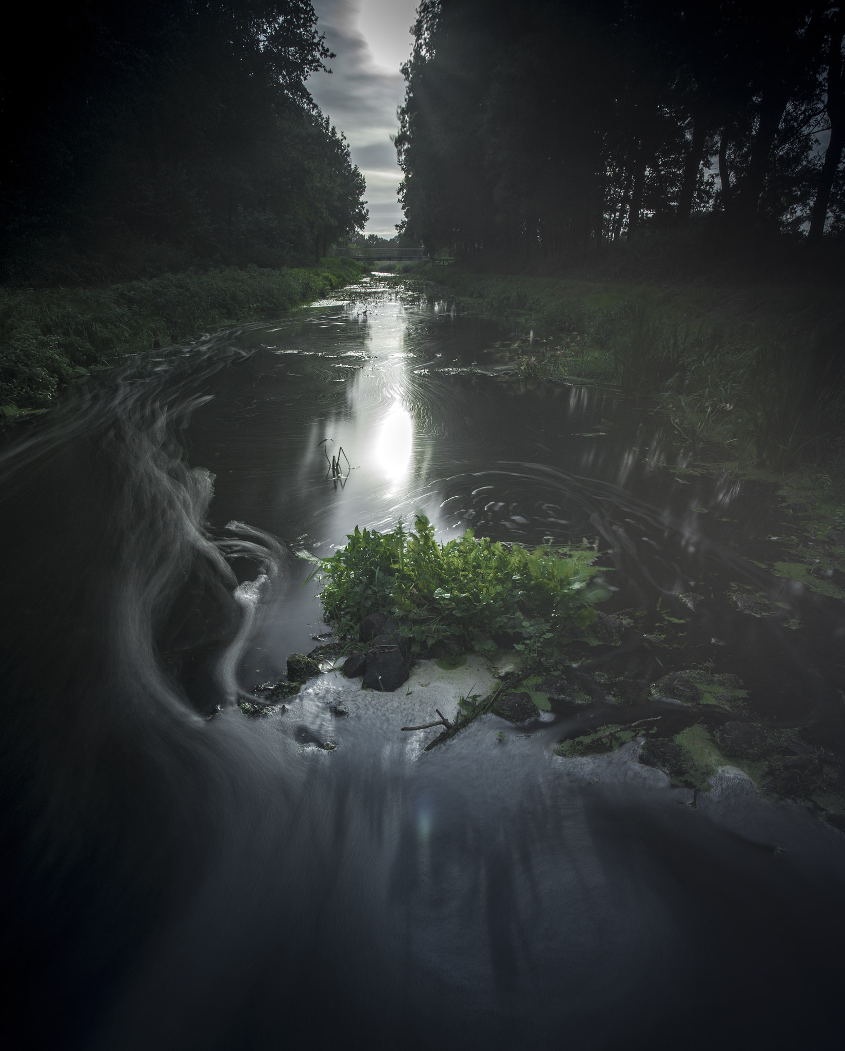 Sony Alpha DSLR-A900 + Sony Vario-Sonnar T* 16-35mm F2.8 ZA SSM sample photo. Regge 3 photography