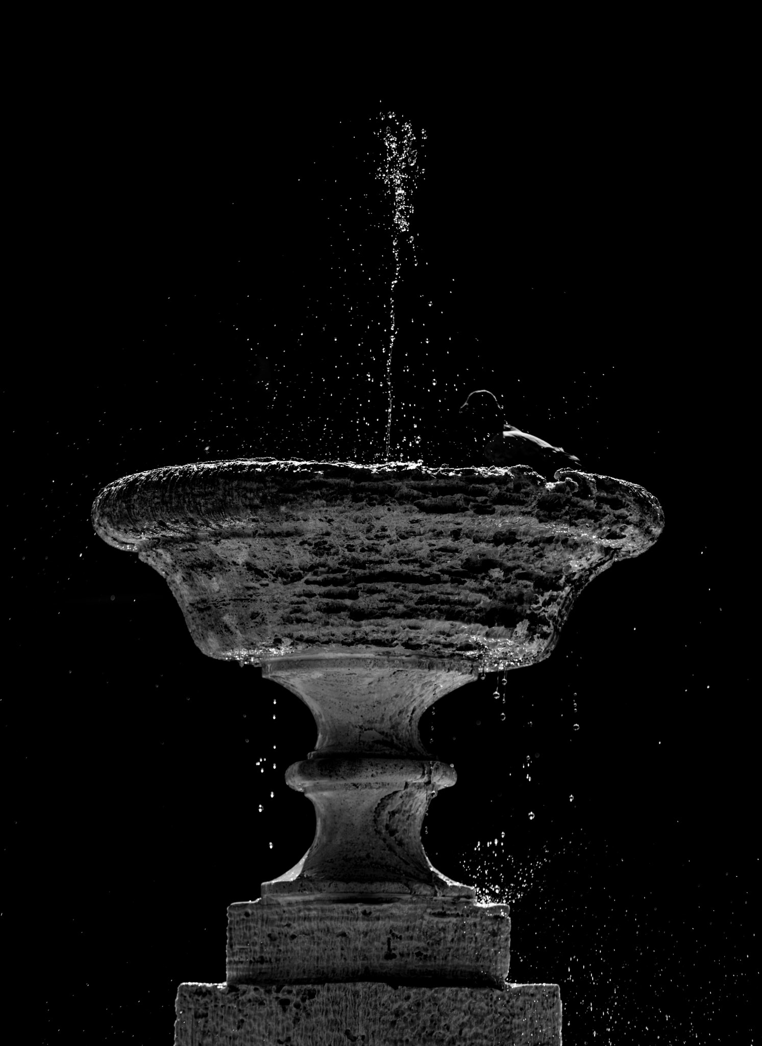 Canon EF 70-200mm F4L IS USM sample photo. The fountain photography