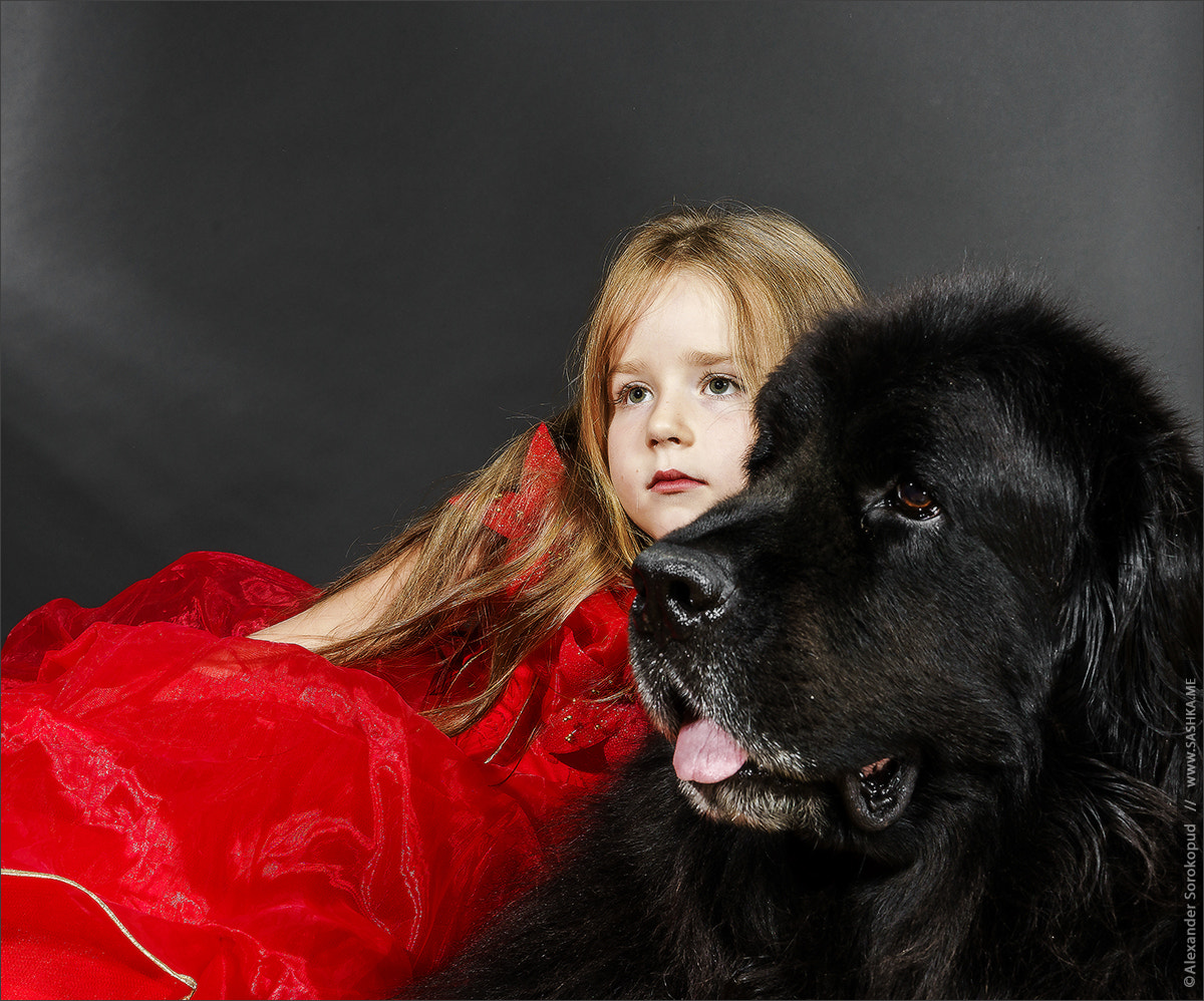 Sony Alpha a99 sample photo. Beauty and the beast. girl with big black water-dog. photography