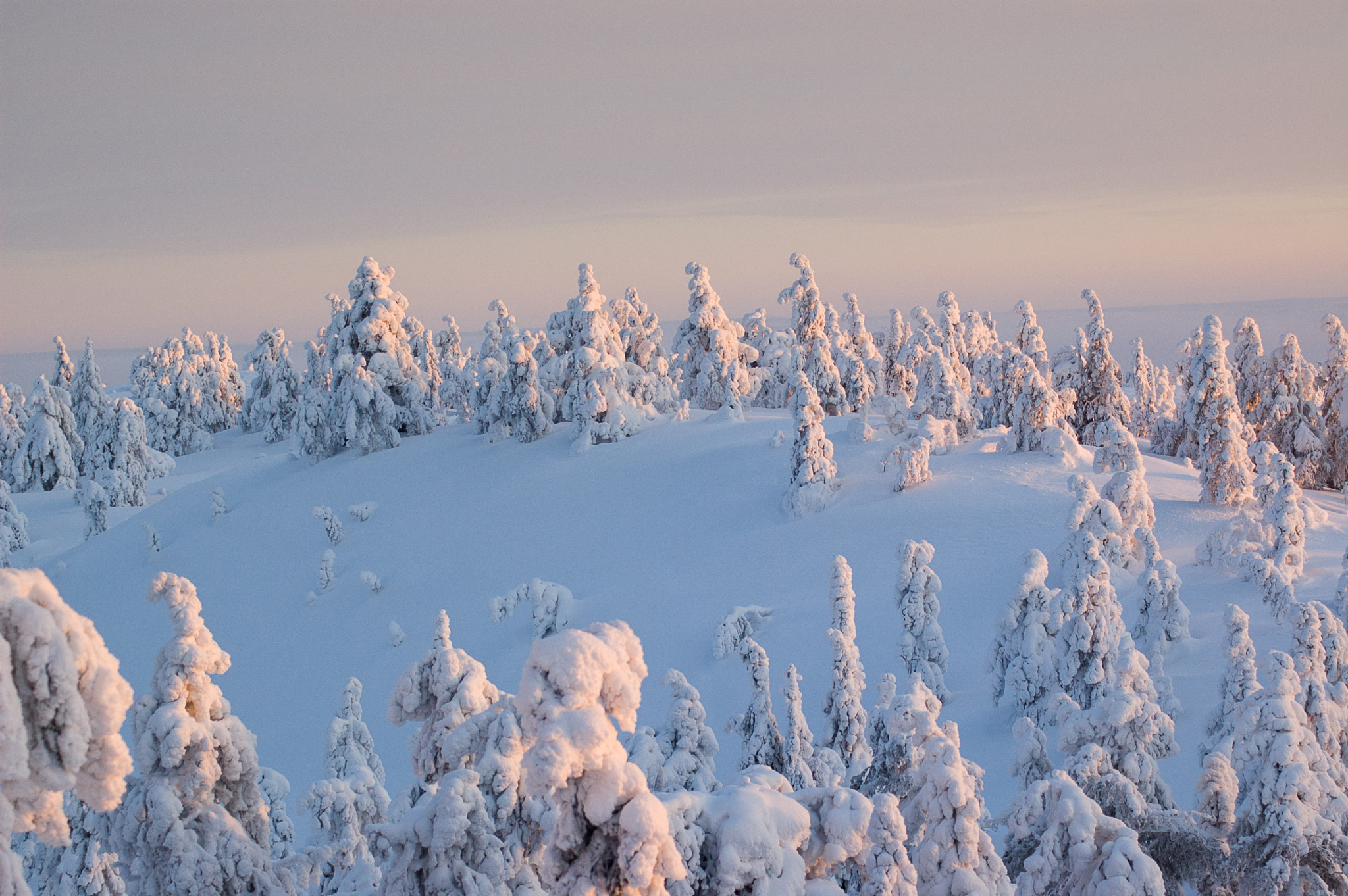 Nikon D70s + Tamron SP 70-300mm F4-5.6 Di VC USD sample photo. Lapland winter photography