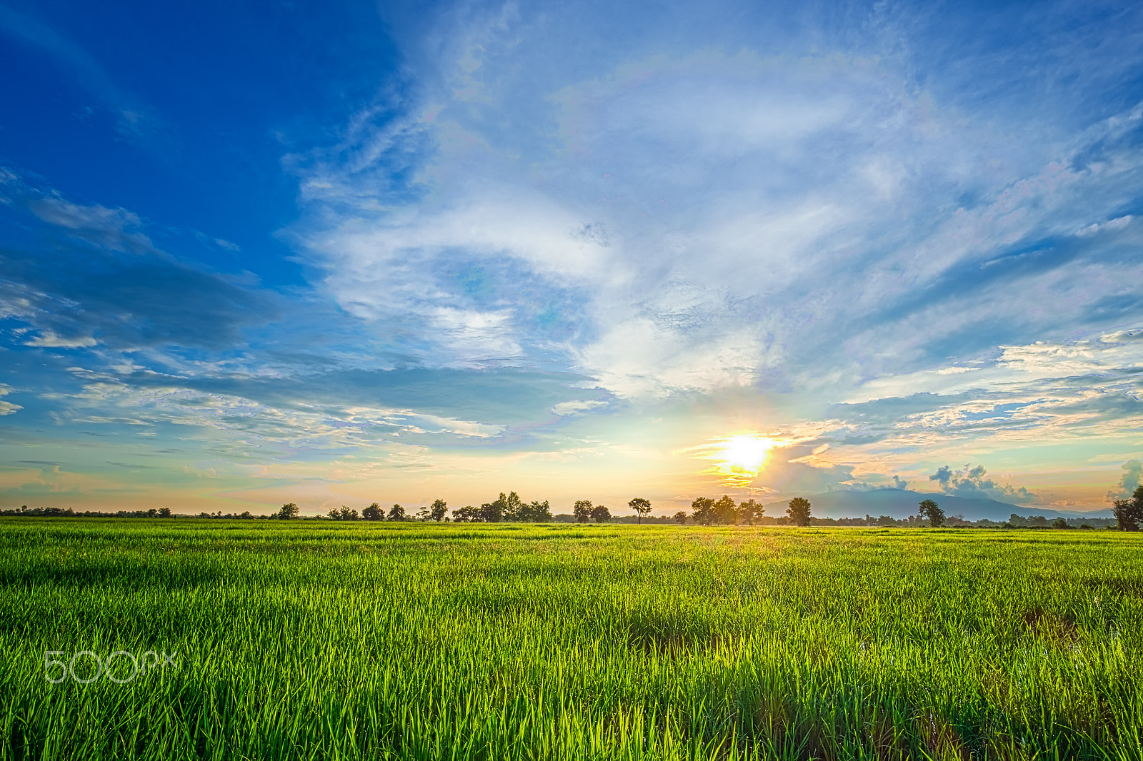 Fujifilm X-T10 sample photo. Green rice paddy fields with sky, cloud,  sunrise or sunflare and mountain background.beautiful... photography