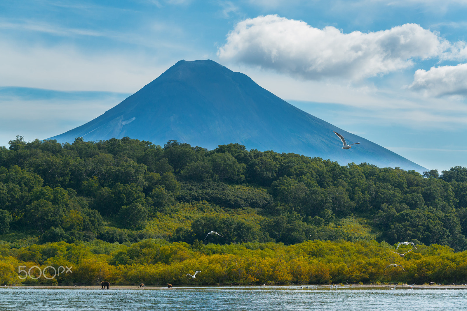 Tamron SP 70-200mm F2.8 Di VC USD sample photo. Kamchatka photography