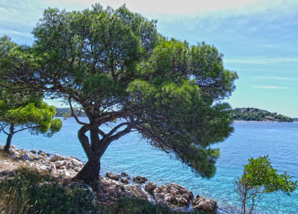 Fujifilm FinePix J250 sample photos - ExploreCams