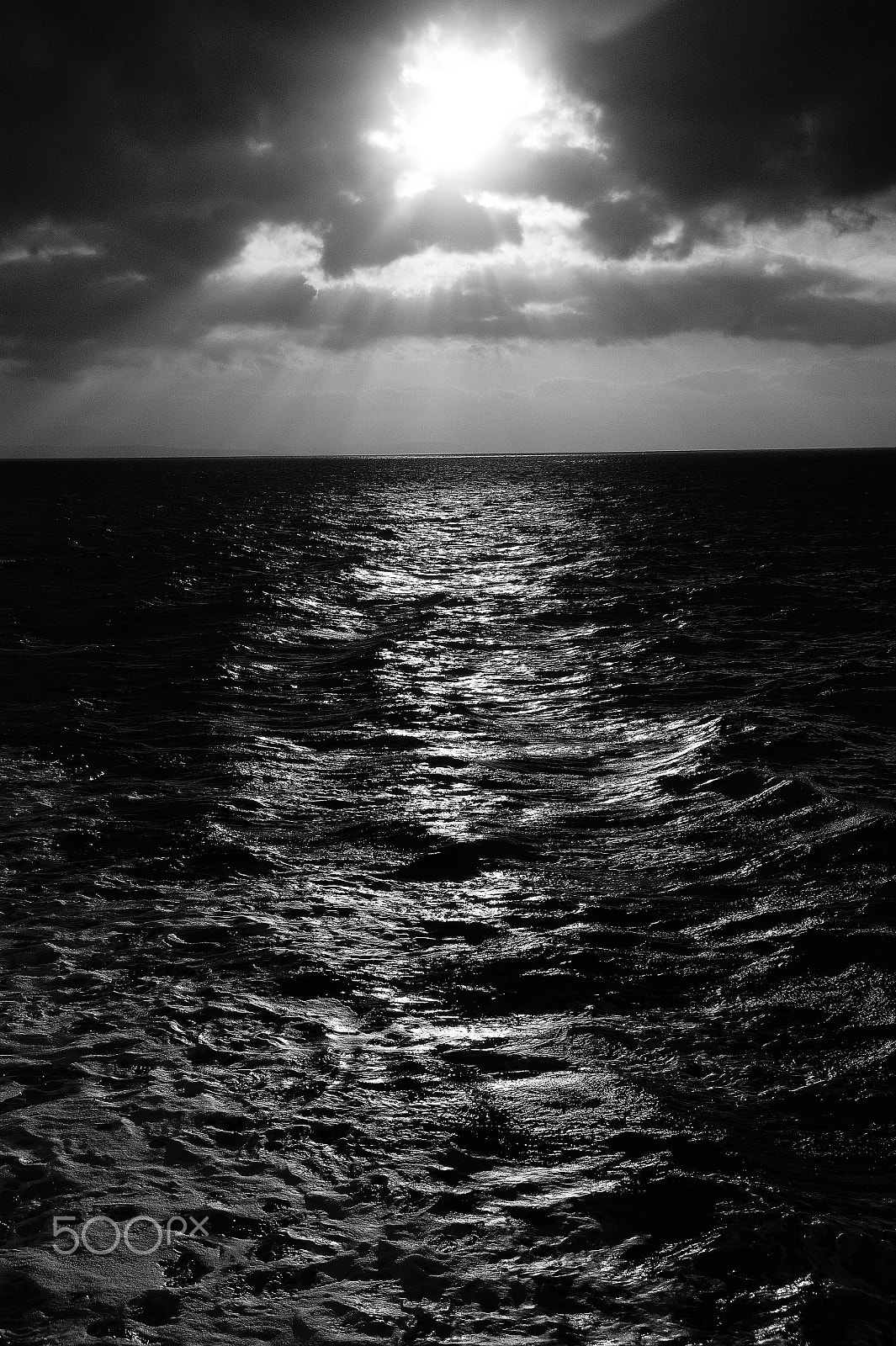 Sony DT 18-200mm F3.5-6.3 sample photo. ... 50 shades of grey ! photography