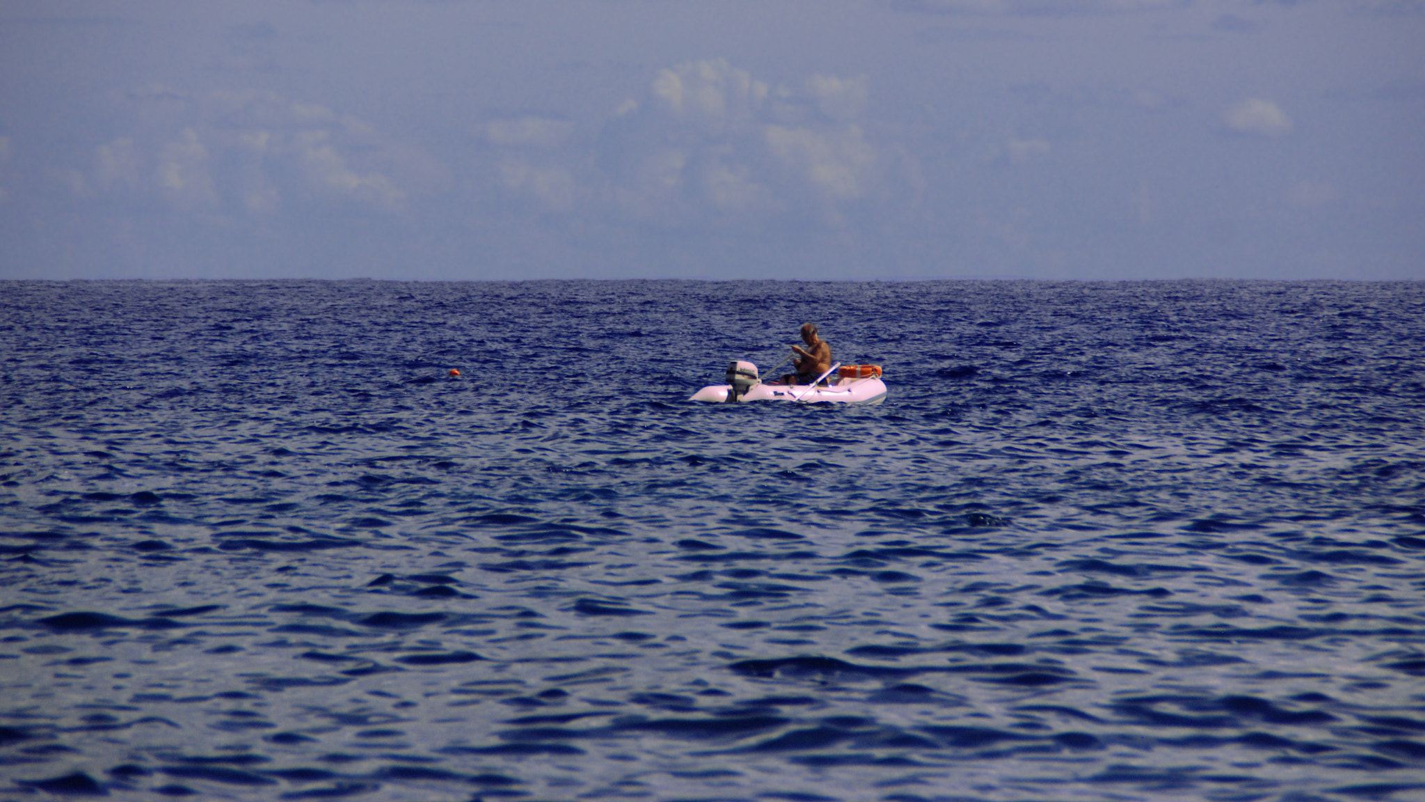 Nikon D80 sample photo. Deep sea photography