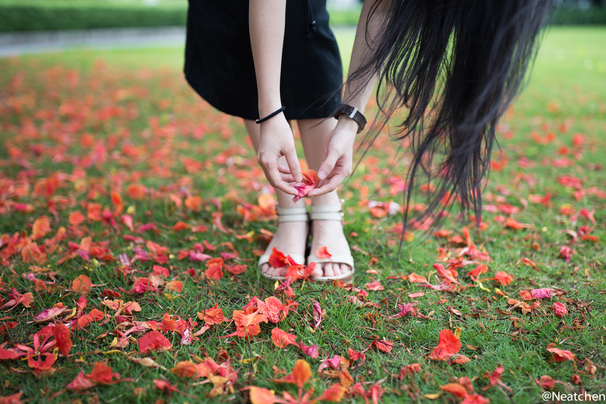 Canon EF 35mm F1.4L II USM sample photo