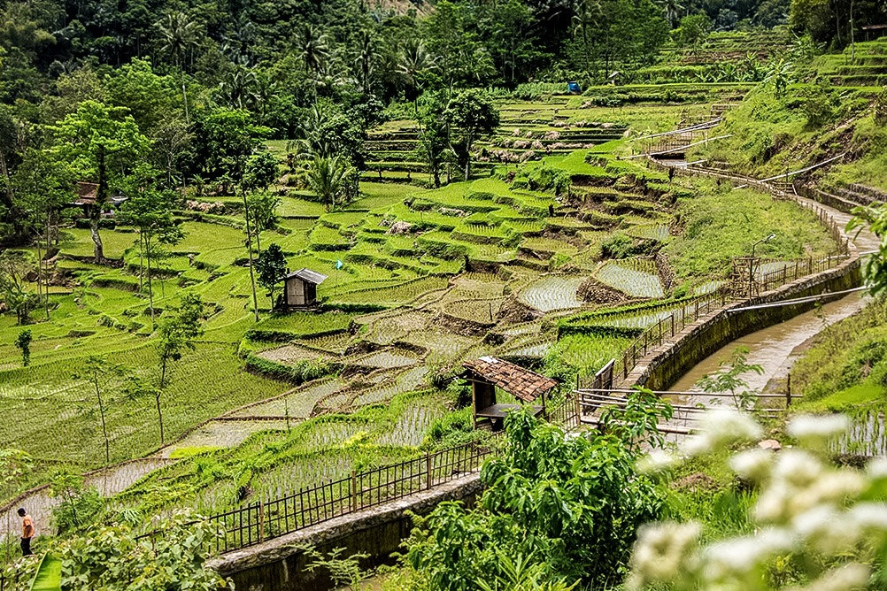 Sigma 18-250mm F3.5-6.3 DC OS HSM sample photo. Alam kami photography