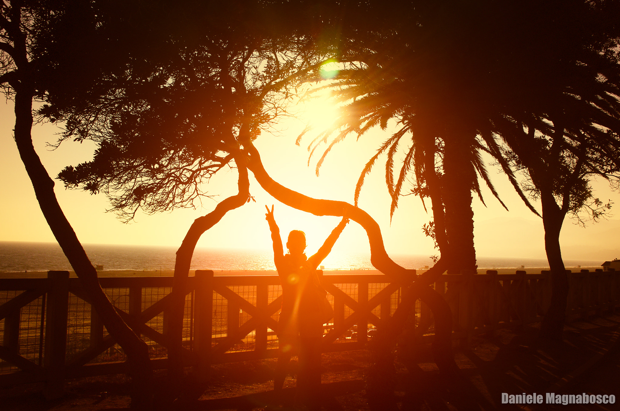 Tamron AF 18-200mm F3.5-6.3 XR Di II LD Aspherical (IF) Macro sample photo. Greetings from santa monica photography