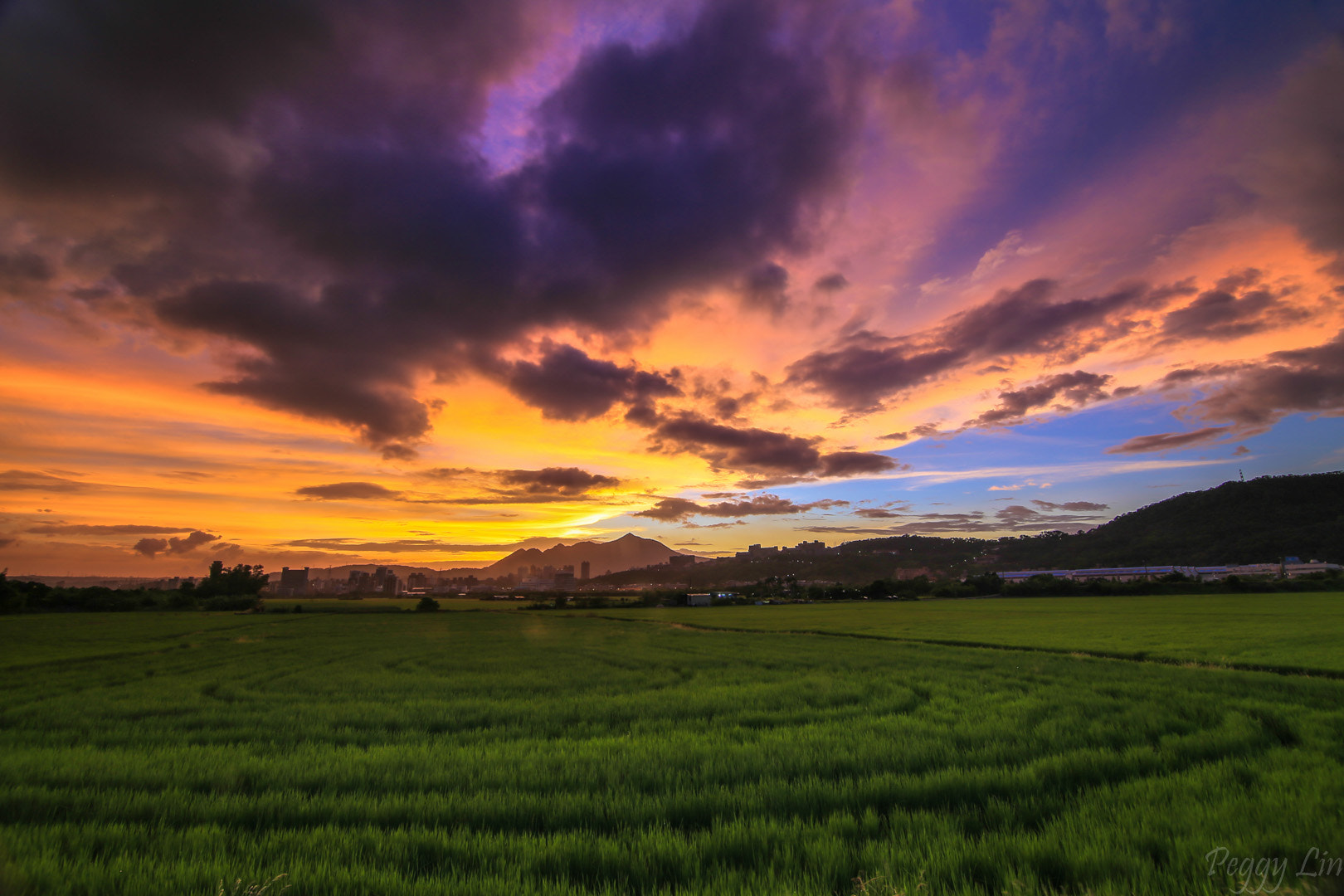 Canon EOS-1D X sample photo. Sunset  guandu plain photography