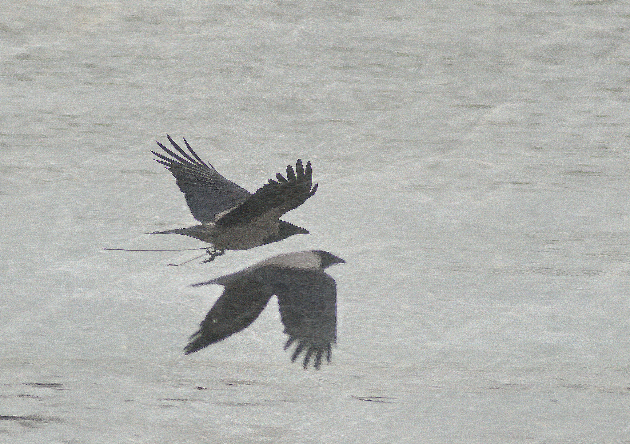 Nikon D200 sample photo. Double photography