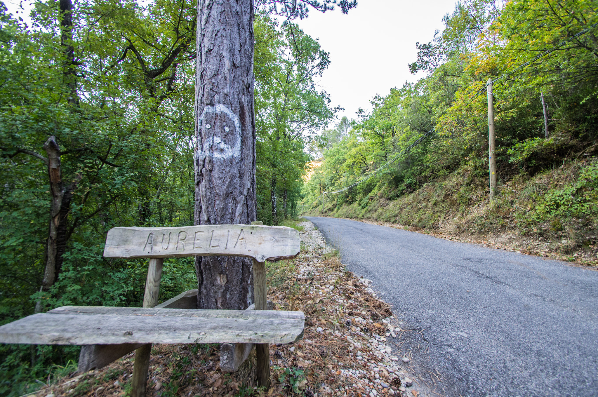 Pentax K-r sample photo. The bench photography