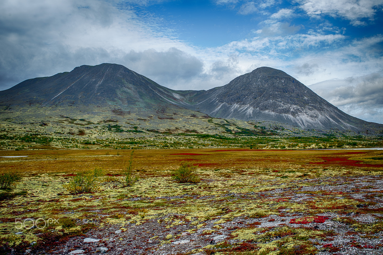 Nikon D810 sample photo. Autumn in rondane photography