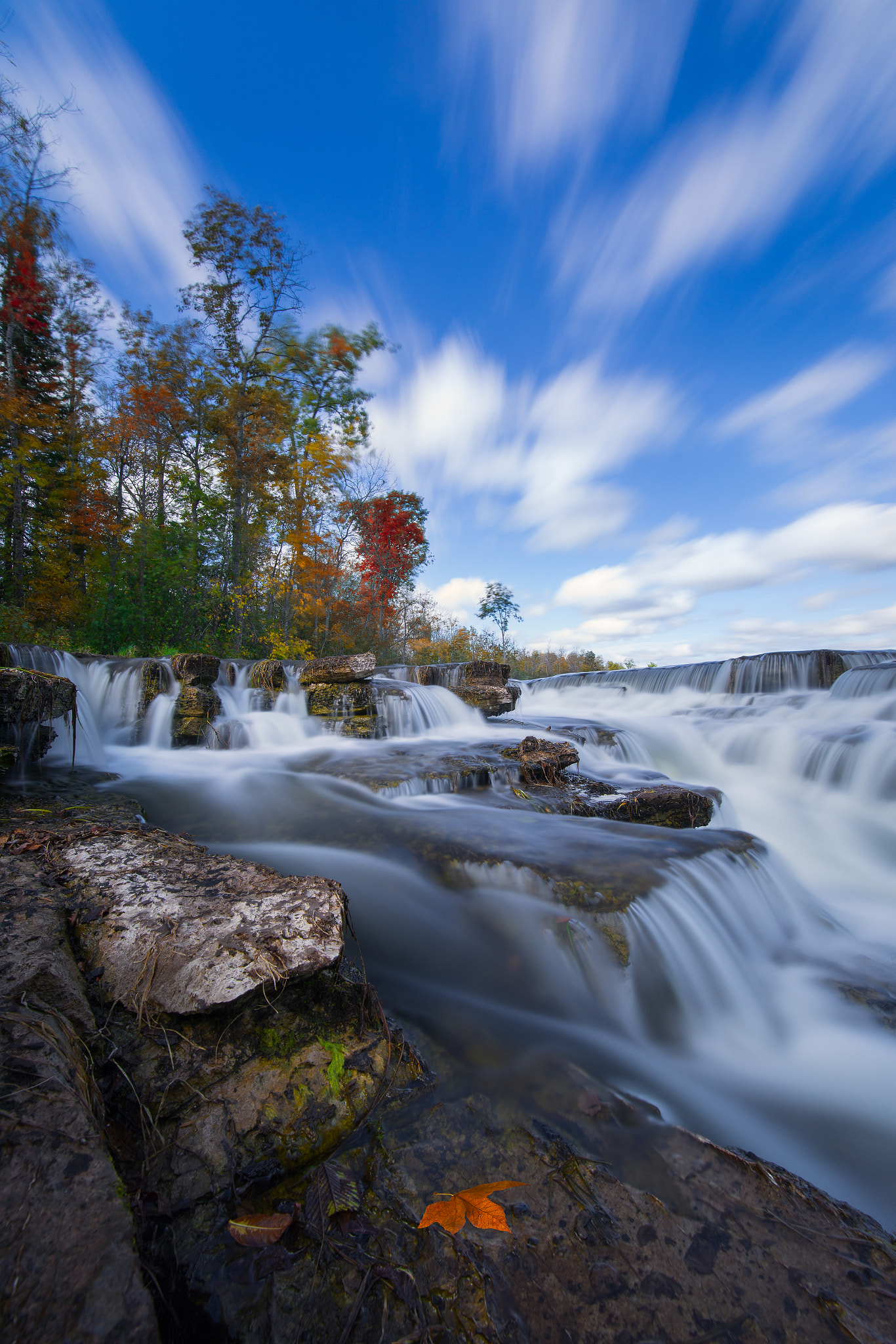 Canon EF 300mm f/2.8L sample photo. Everything in motion photography