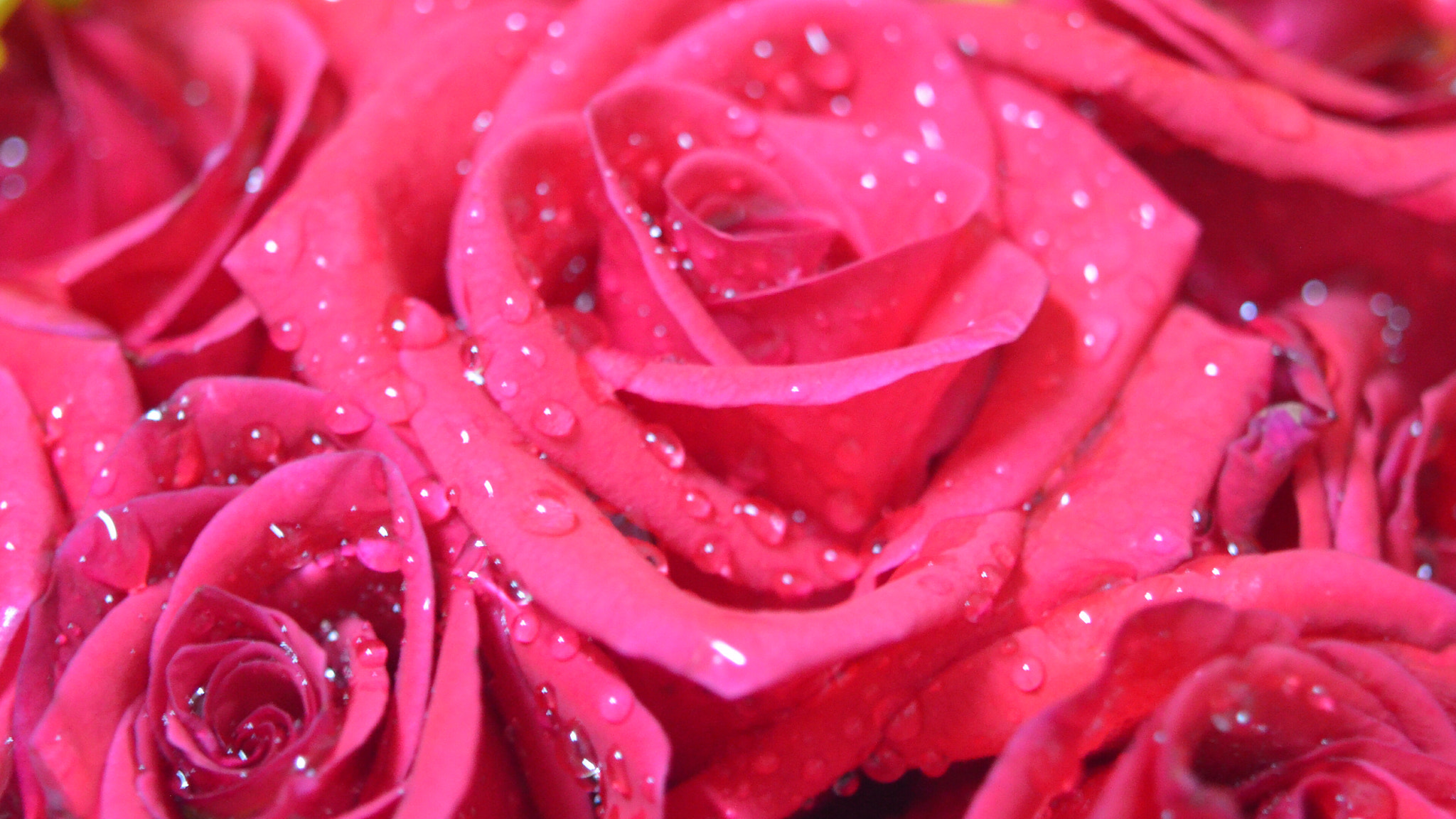 Manual Lens No CPU sample photo. Drops photography