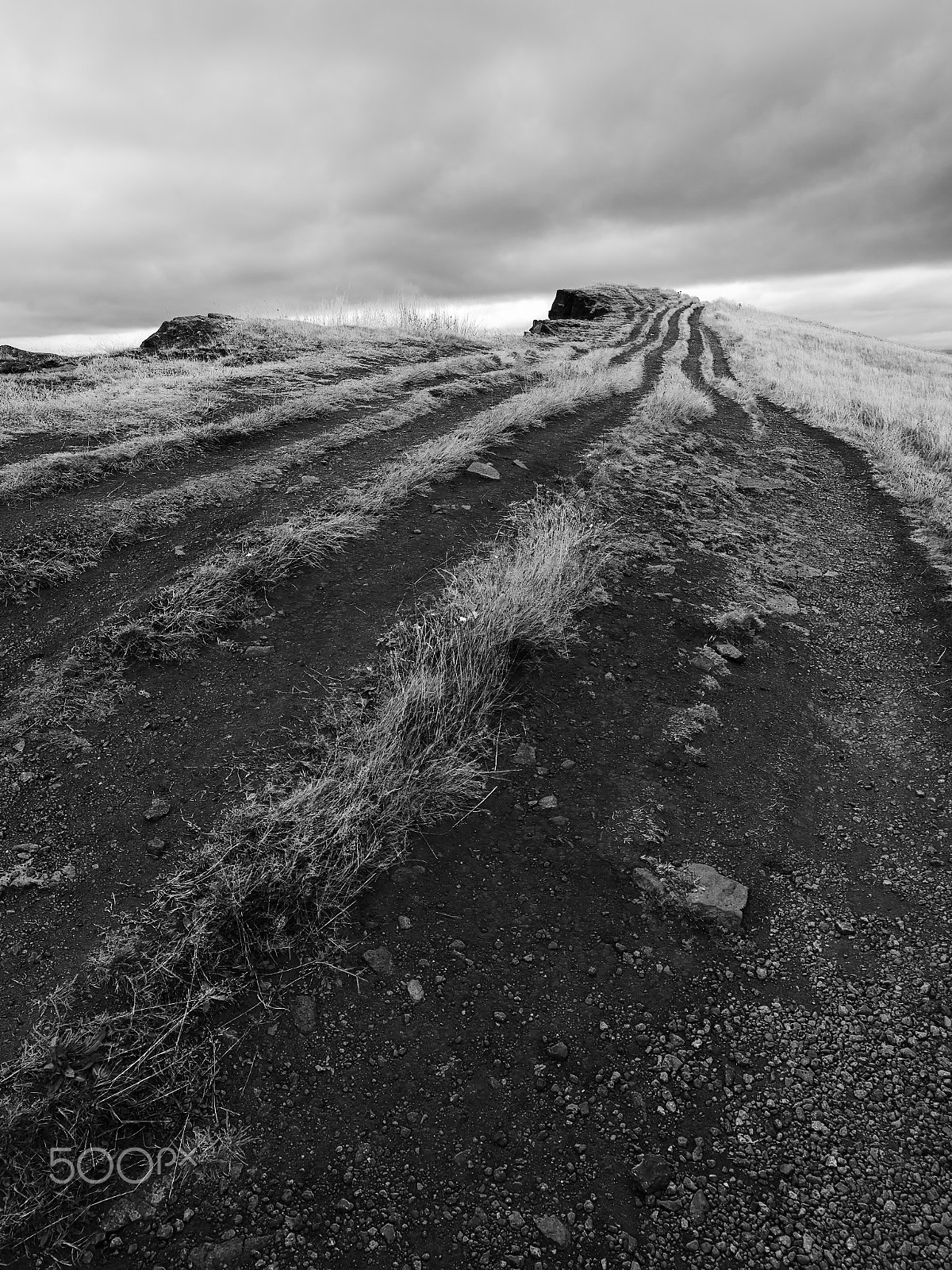 Nikon D600 + AF Nikkor 20mm f/2.8 sample photo. Ruts towards clouds photography